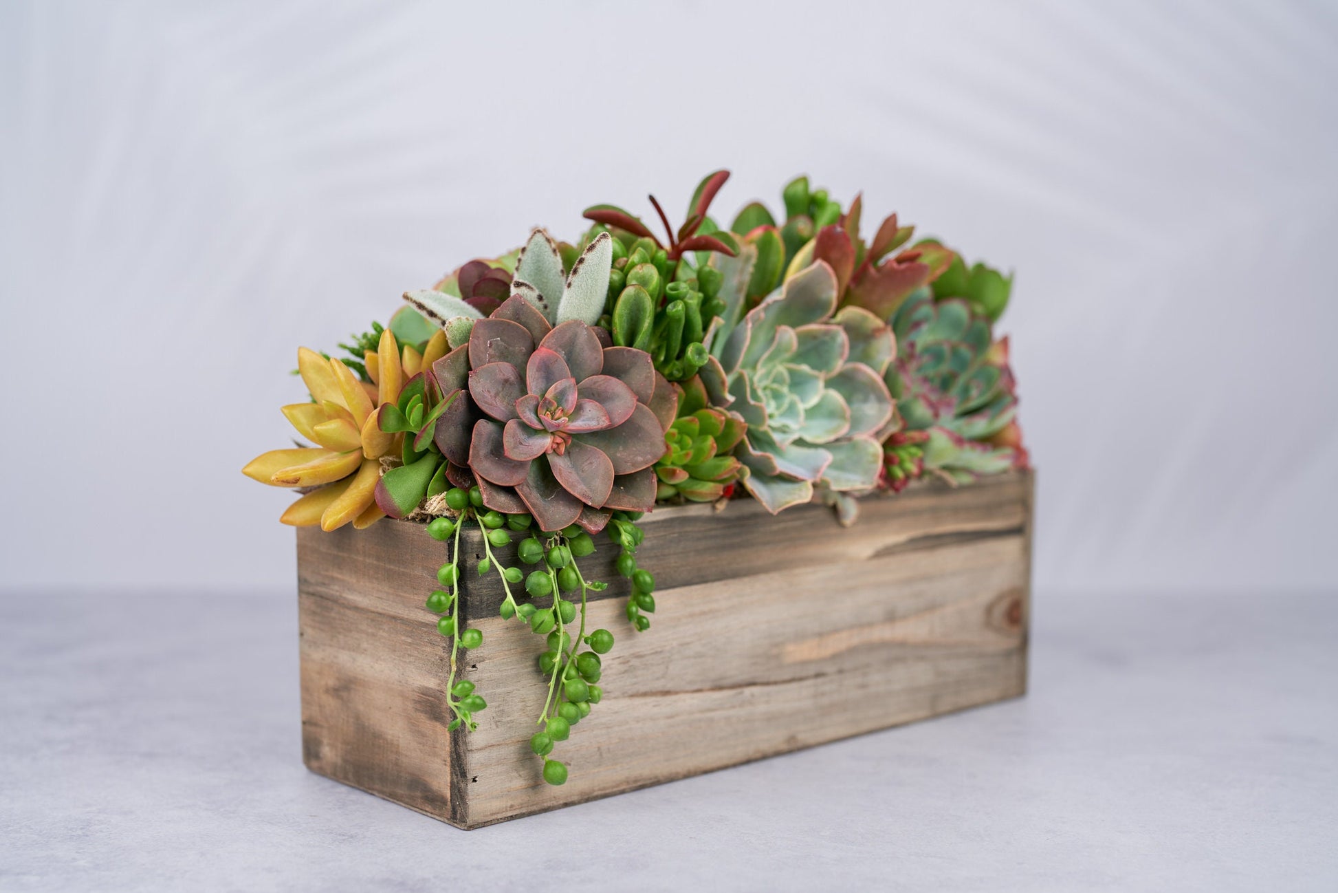 Rustic Wood Rectangle Succulent Arrangement Planter: Living Succulent Gift or Centerpiece for Weddings & Events