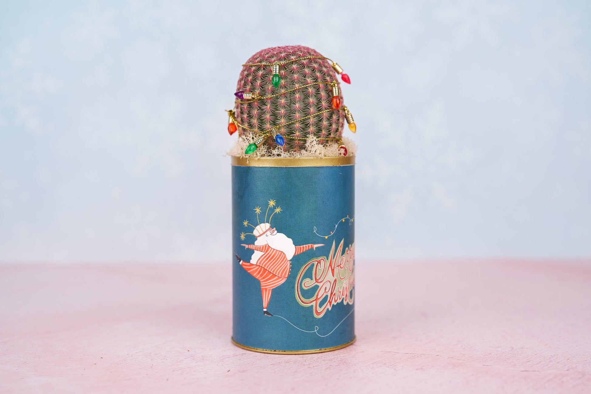 Christmas Cactus Dancing Santa Living Gift Arrangement | Holiday Gift for Hostess, Housewarming, Teacher Gift