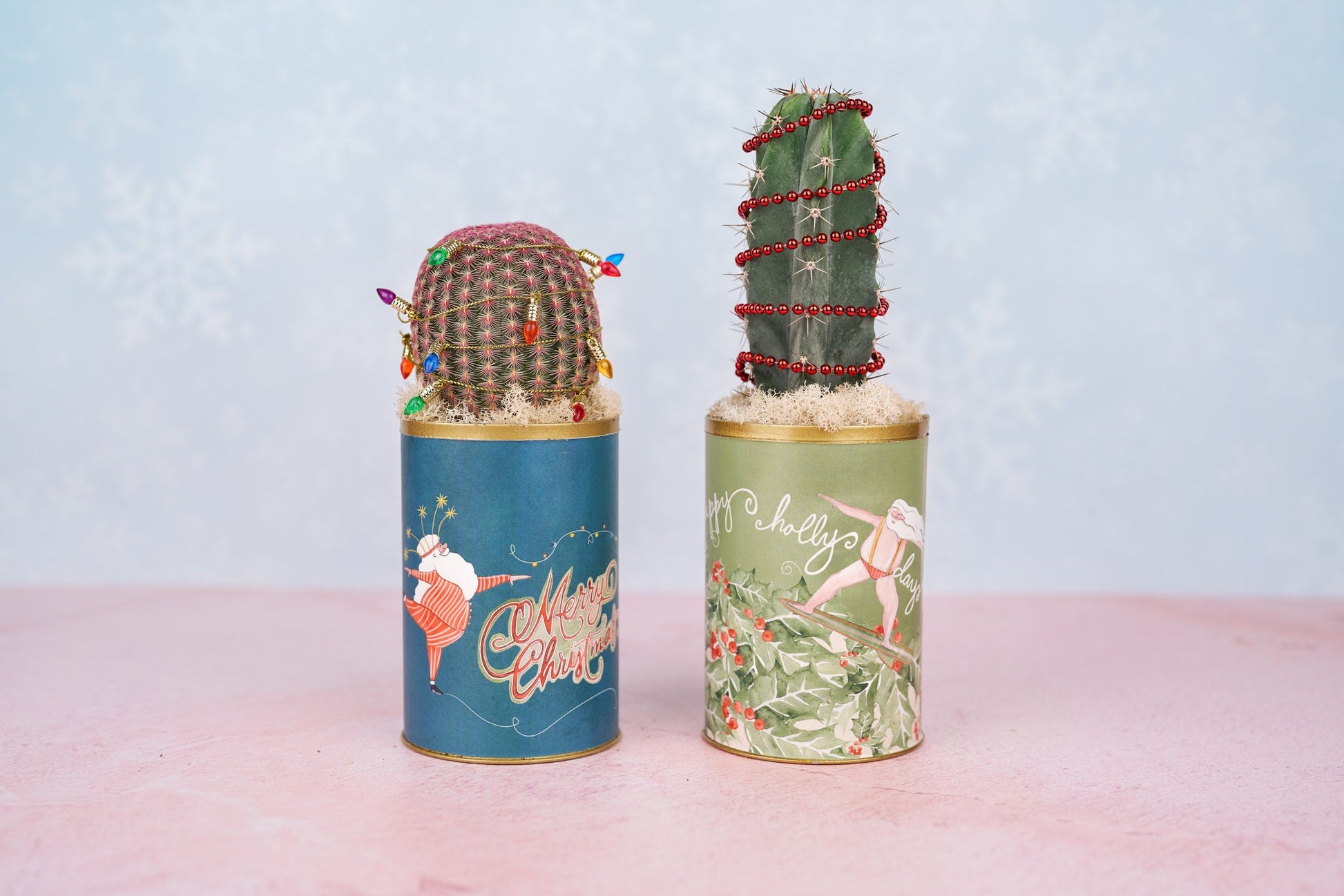 Christmas Cactus Dancing Santa Living Gift Arrangement | Holiday Gift for Hostess, Housewarming, Teacher Gift