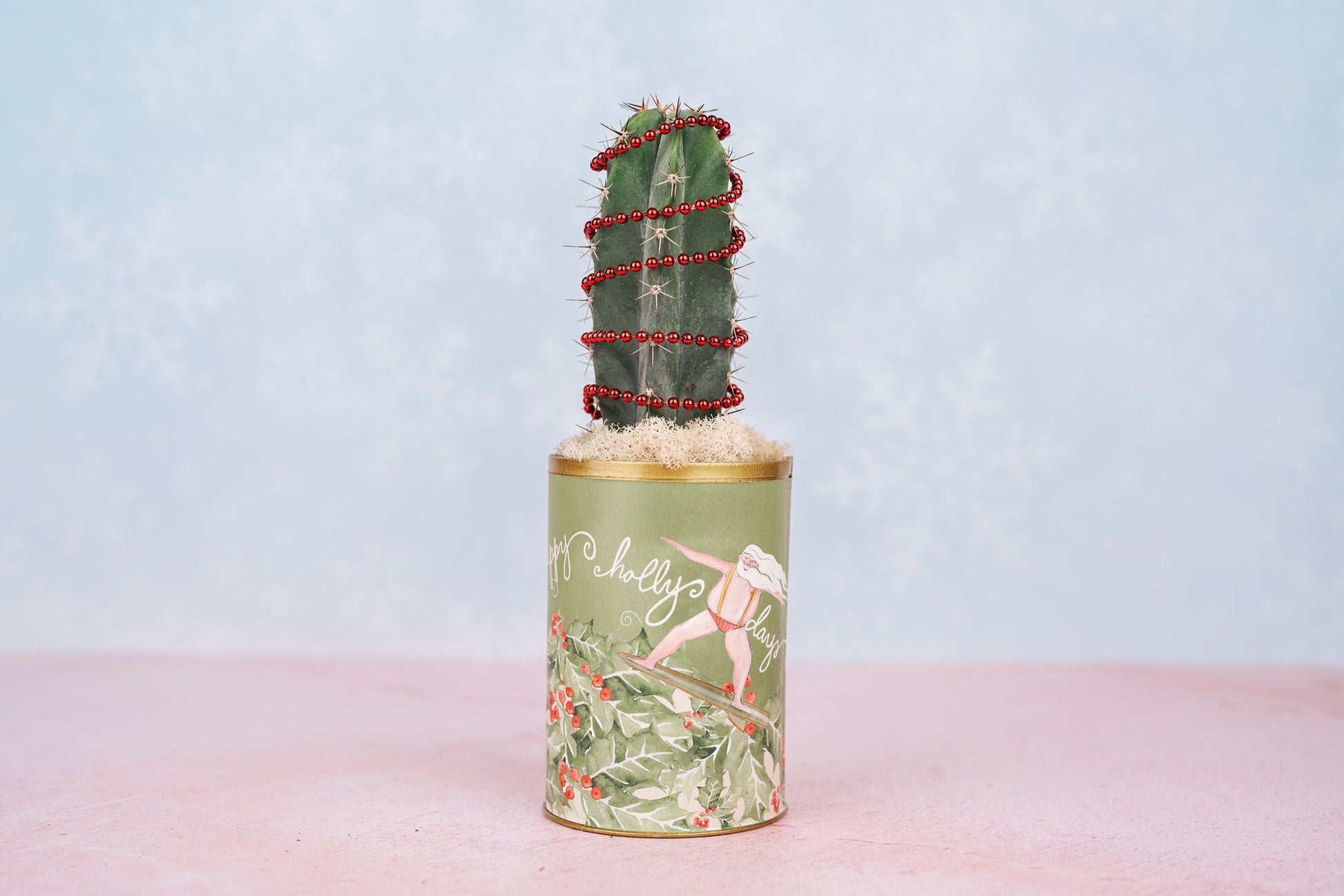 Christmas Cactus Surfing Santa Holiday Can Arrangement | Winter Holiday Gift for Hostess, Housewarming, and Teachers