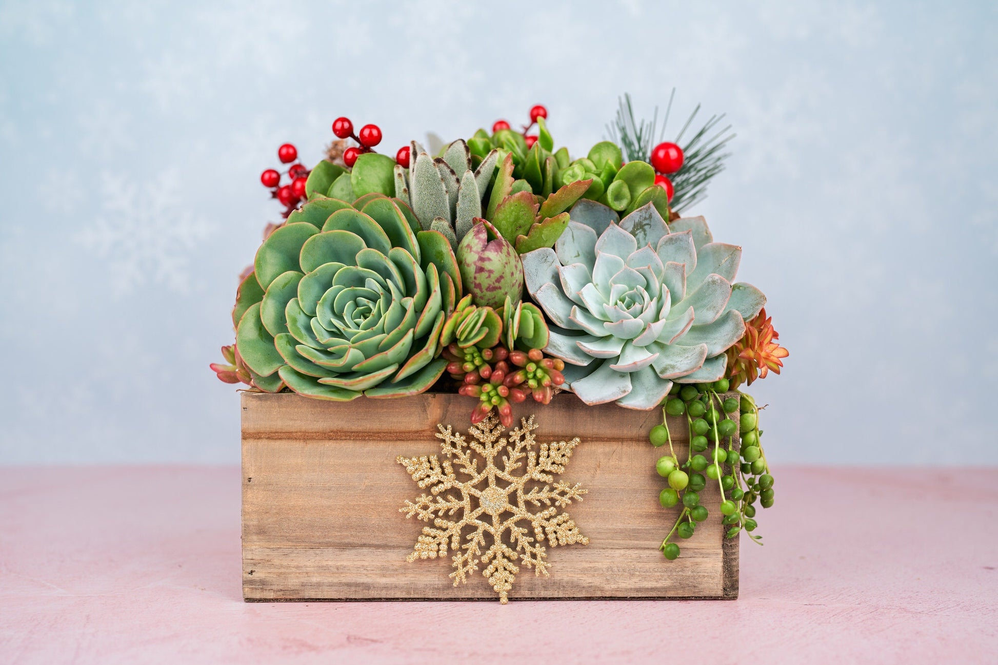 Christmas Holiday Rustic Wood Square Succulent Arrangement Planter: Winter Holiday Centerpiece or Home Decor