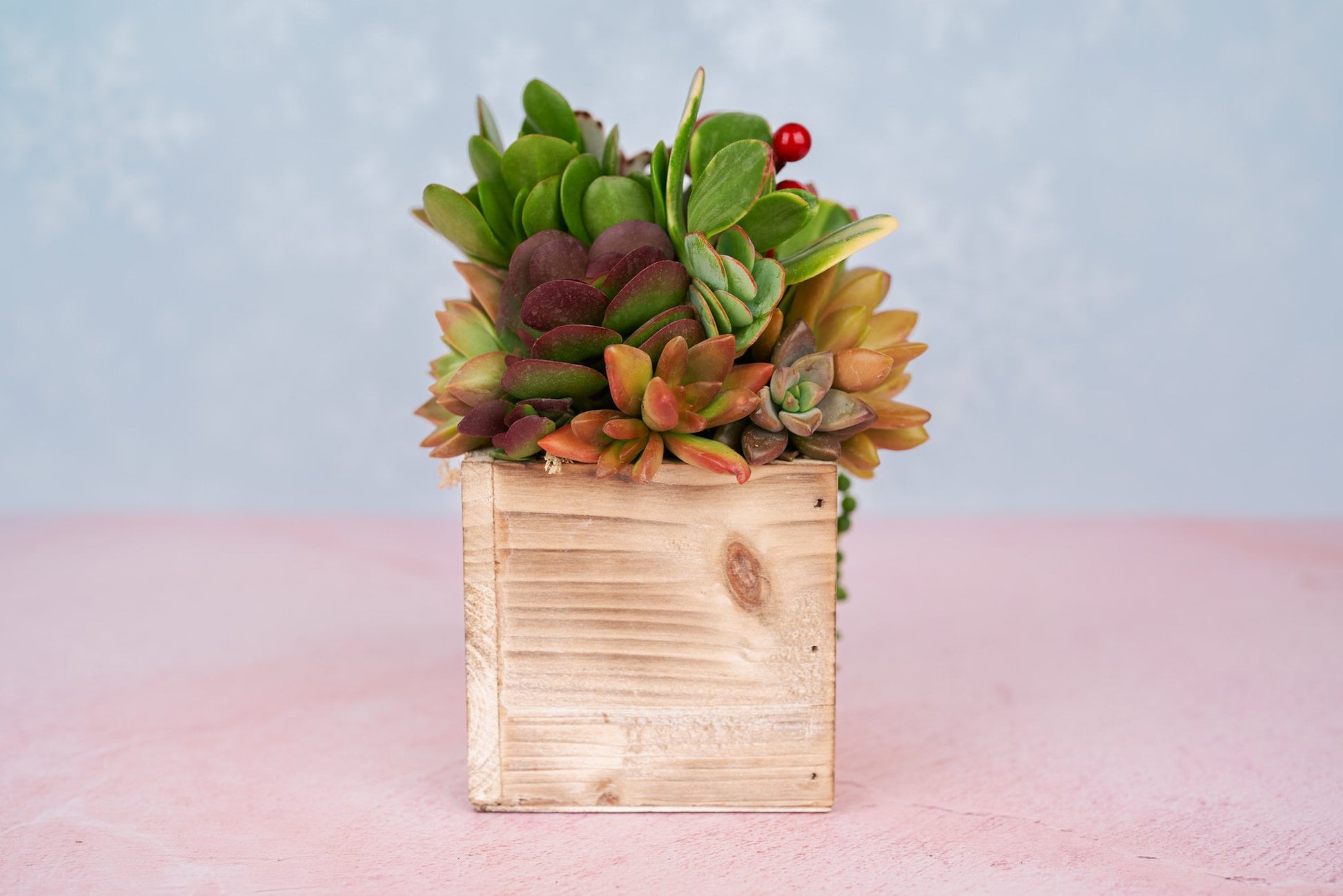 Holiday Festive Wood Rustic Succulent Arrangement with Christmas Decorations: Winter Holiday Centerpiece or Home Decor