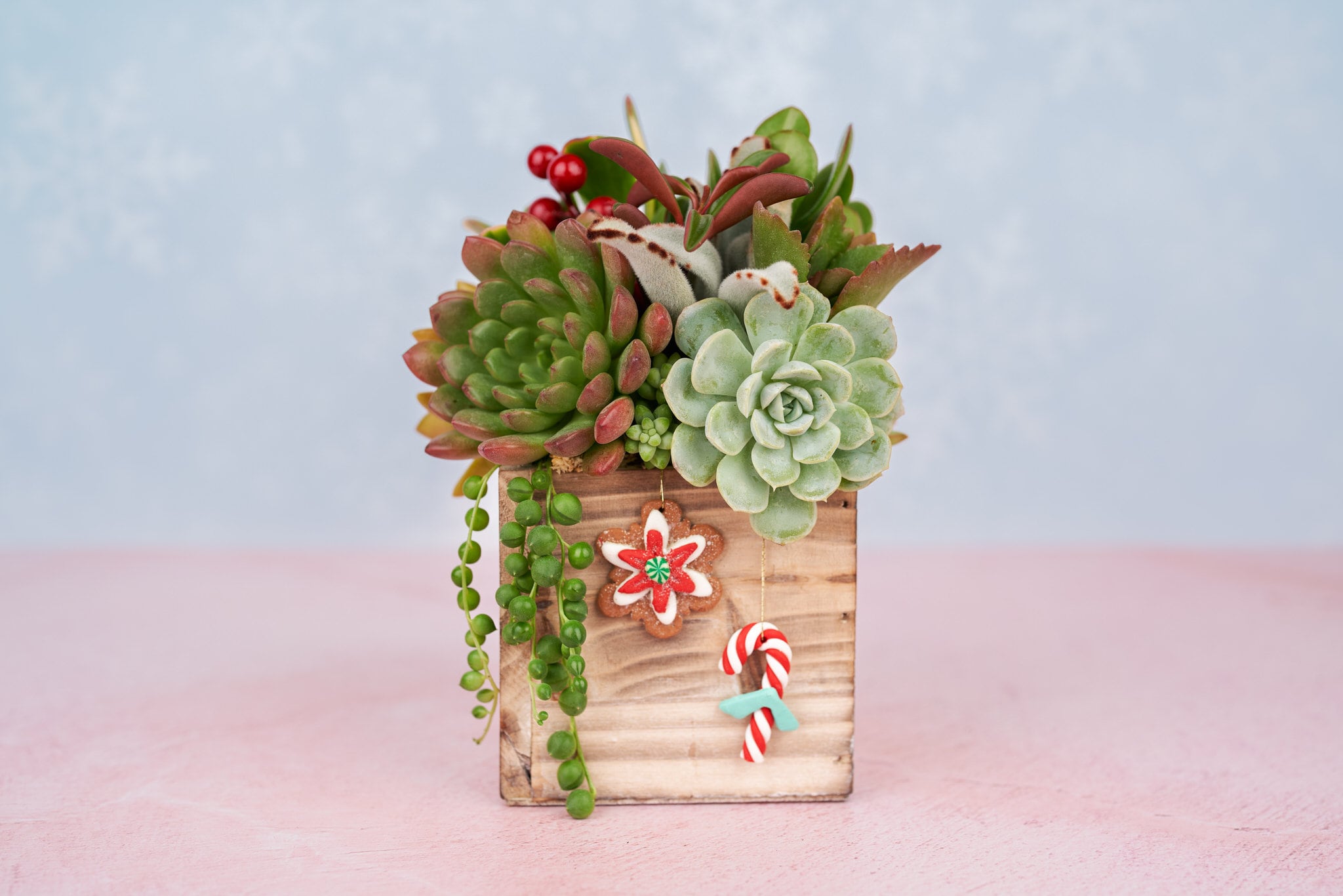 Holiday Festive Wood Rustic Succulent Arrangement with Christmas Decorations: Winter Holiday Centerpiece or Home Decor