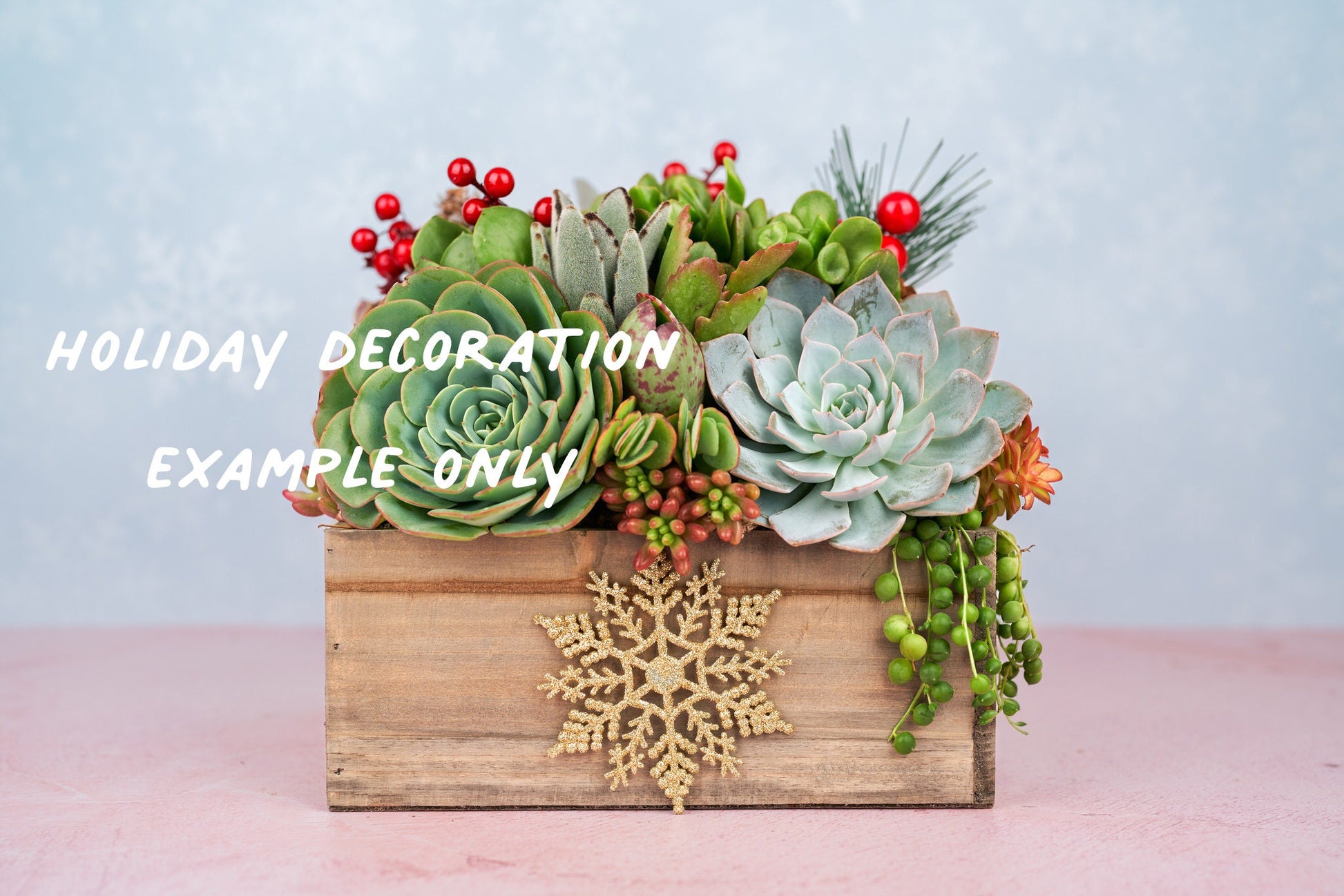 Christmas-Holiday Decoration Add-on | Add Winter Holiday Festive Decor to any Succulent Arrangement: DESIGNERS CHOICE!