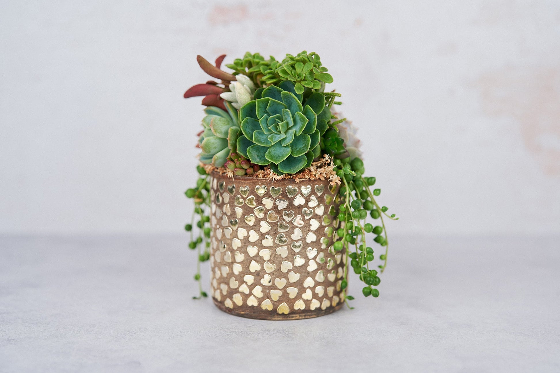 Hammered Hearts Living Succulent Arrangement Gift | Birthday, Celebration, House Warming Living Gift for Plant Lovers | Gift for Mom