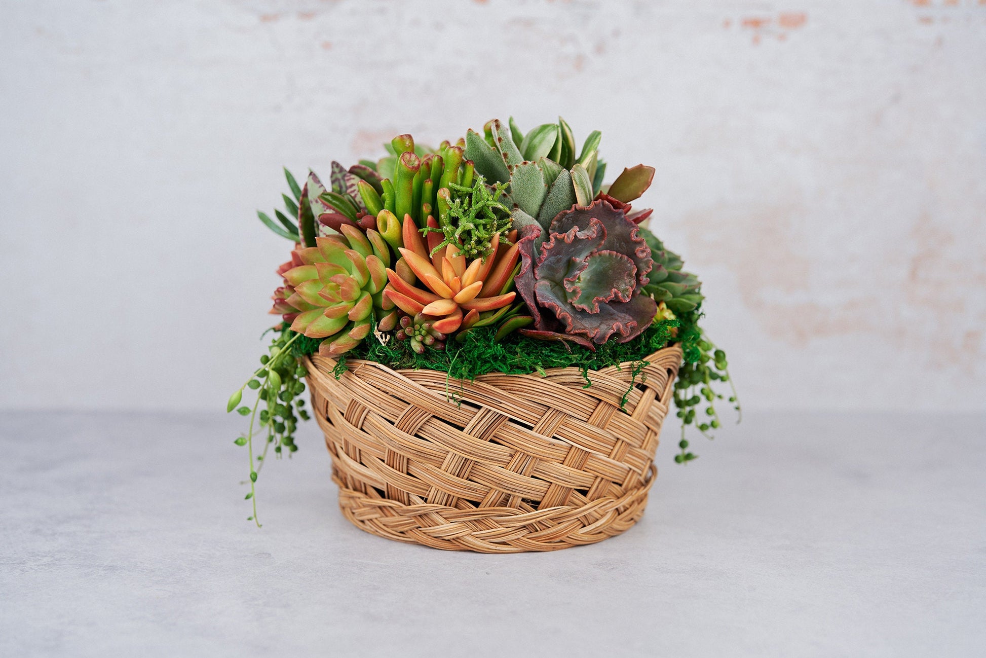 boho succulent planter Boho Basket Succulent Arrangement Planter