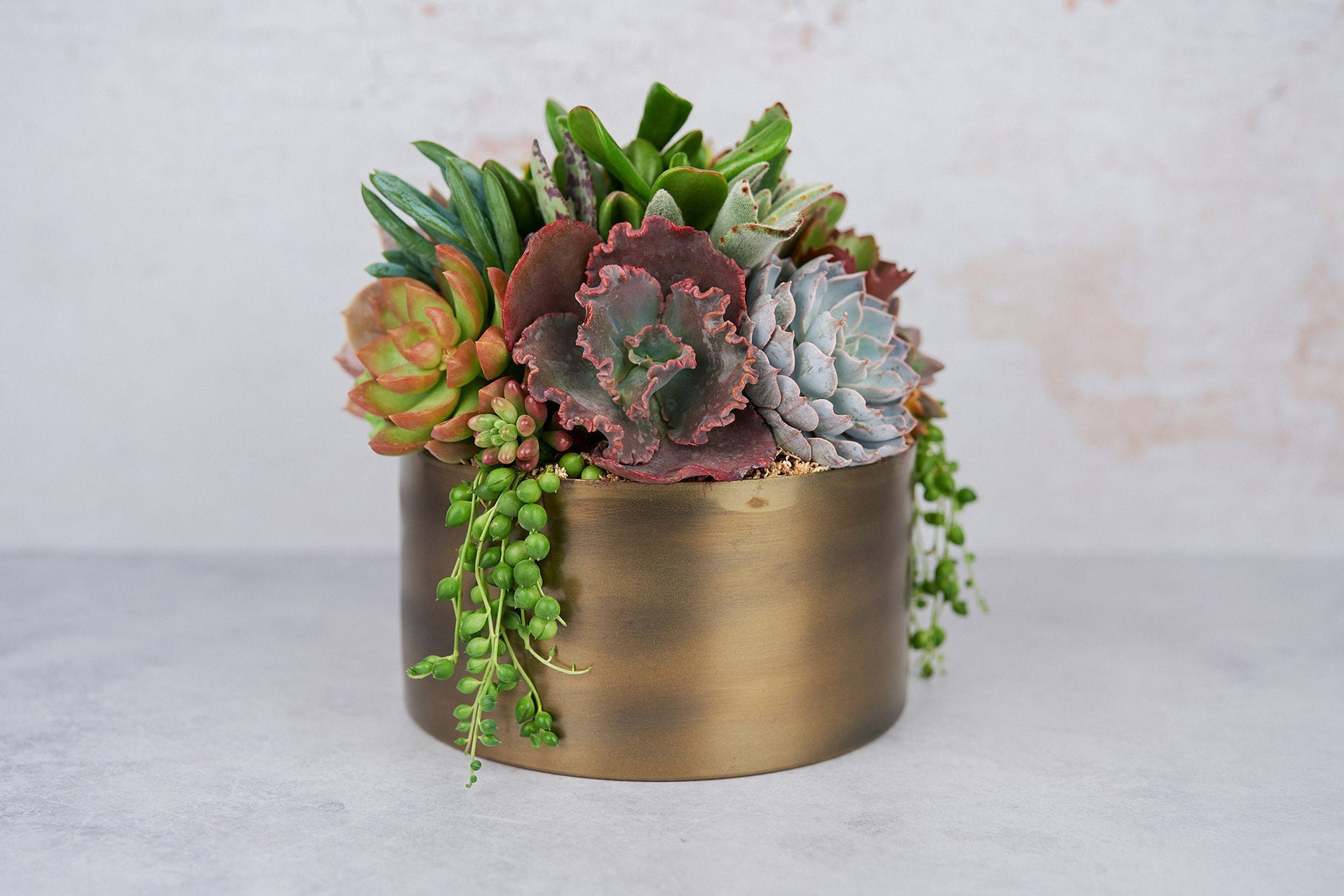Bronze Metal Bowl Succulent Arrangement Planter: Modern Living Succulent Gift, Centerpiece for Weddings & Events, Housewarming Gift