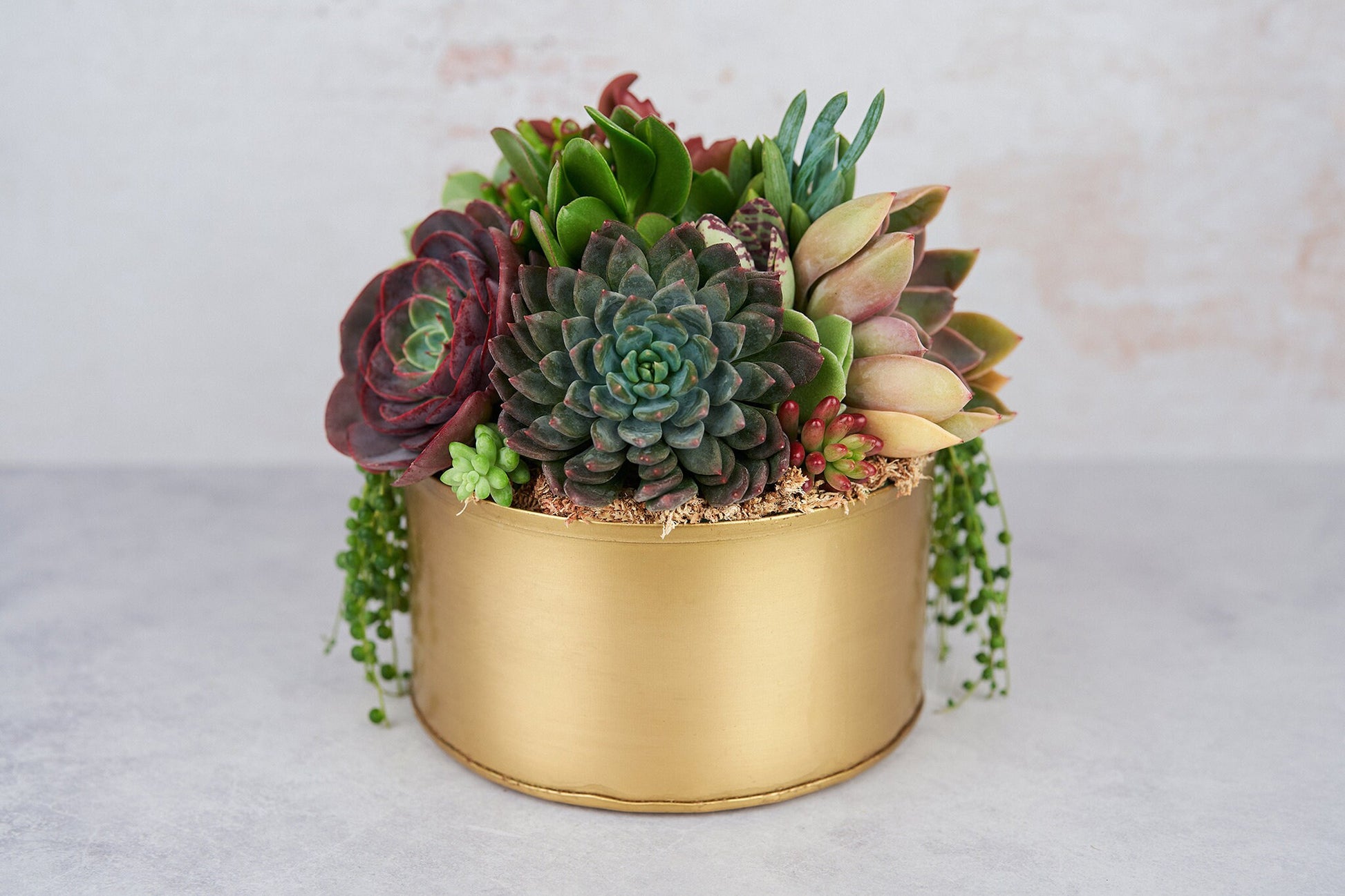 Gold Metal Bowl Succulent Arrangement Planter: Modern Living Succulent Gift, Centerpiece for Weddings & Events, Housewarming Gift