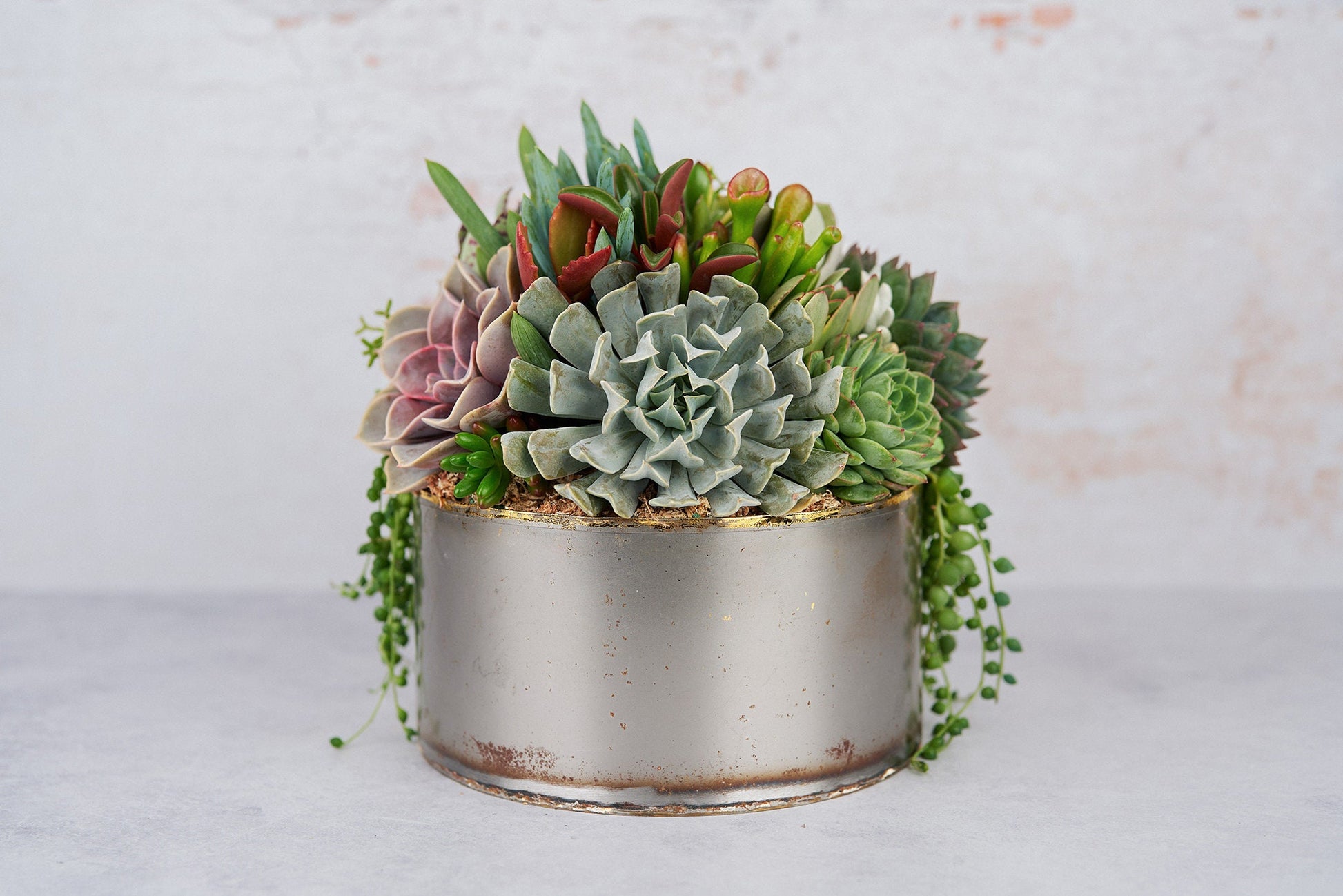 Industrial Metal Bowl Succulent Arrangement Planter: Modern Living Succulent Gift, Centerpiece for Weddings & Events, Housewarming Gift