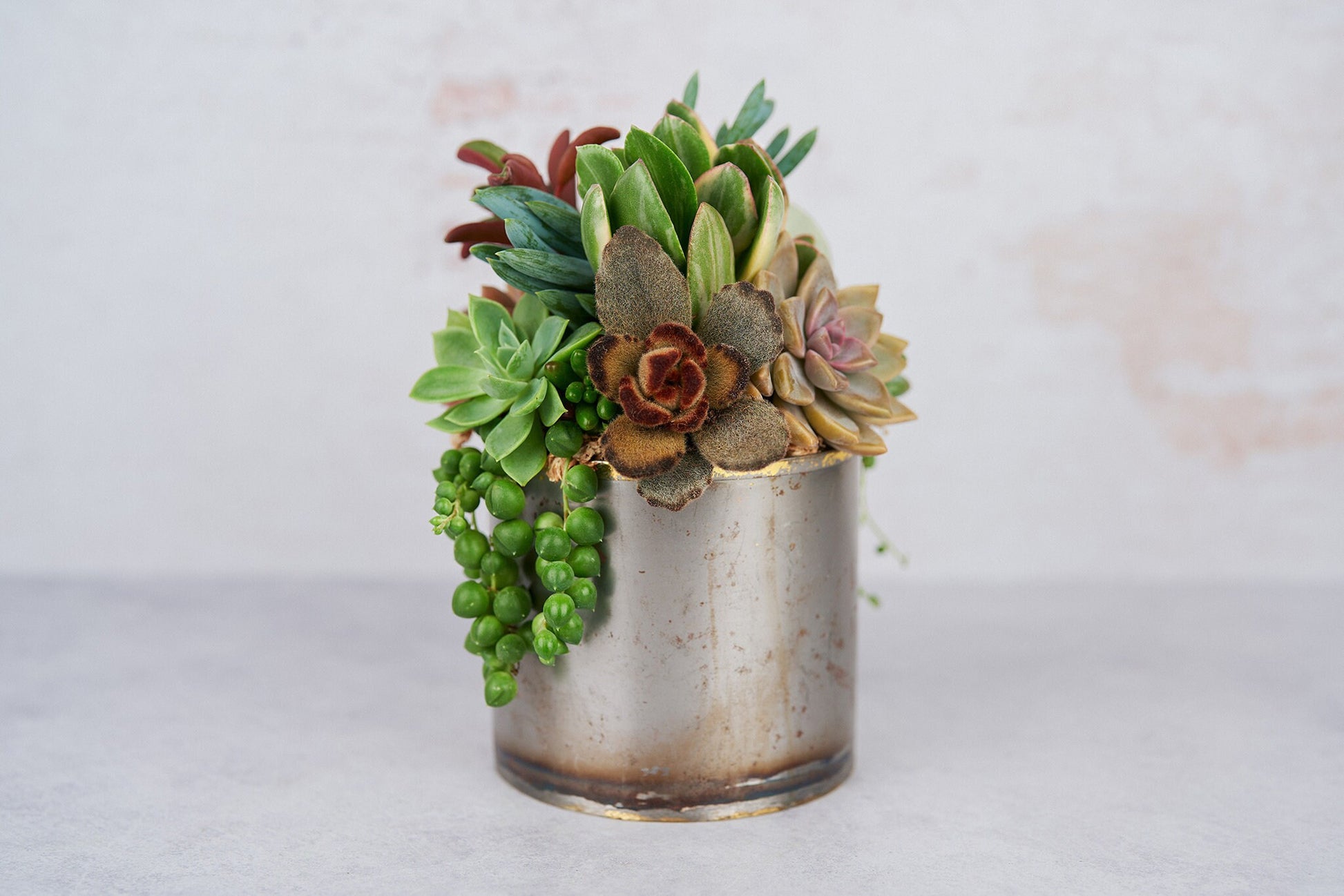 metal succulent planters Medium Industrial Metal Succulent Arrangement Planter
