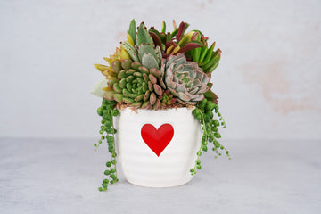 Red Heart Love Succulent Arrangement Valentines Day Gift: Living Succulent Gift, Centerpiece for Weddings & Events, Housewarming Gift