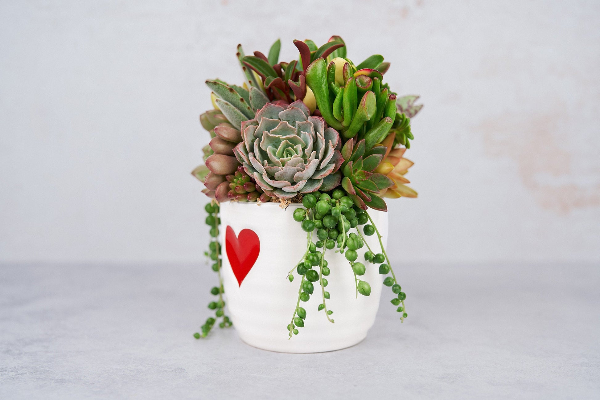 Red Heart Love Succulent Arrangement Valentines Day Gift: Living Succulent Gift, Centerpiece for Weddings & Events, Housewarming Gift