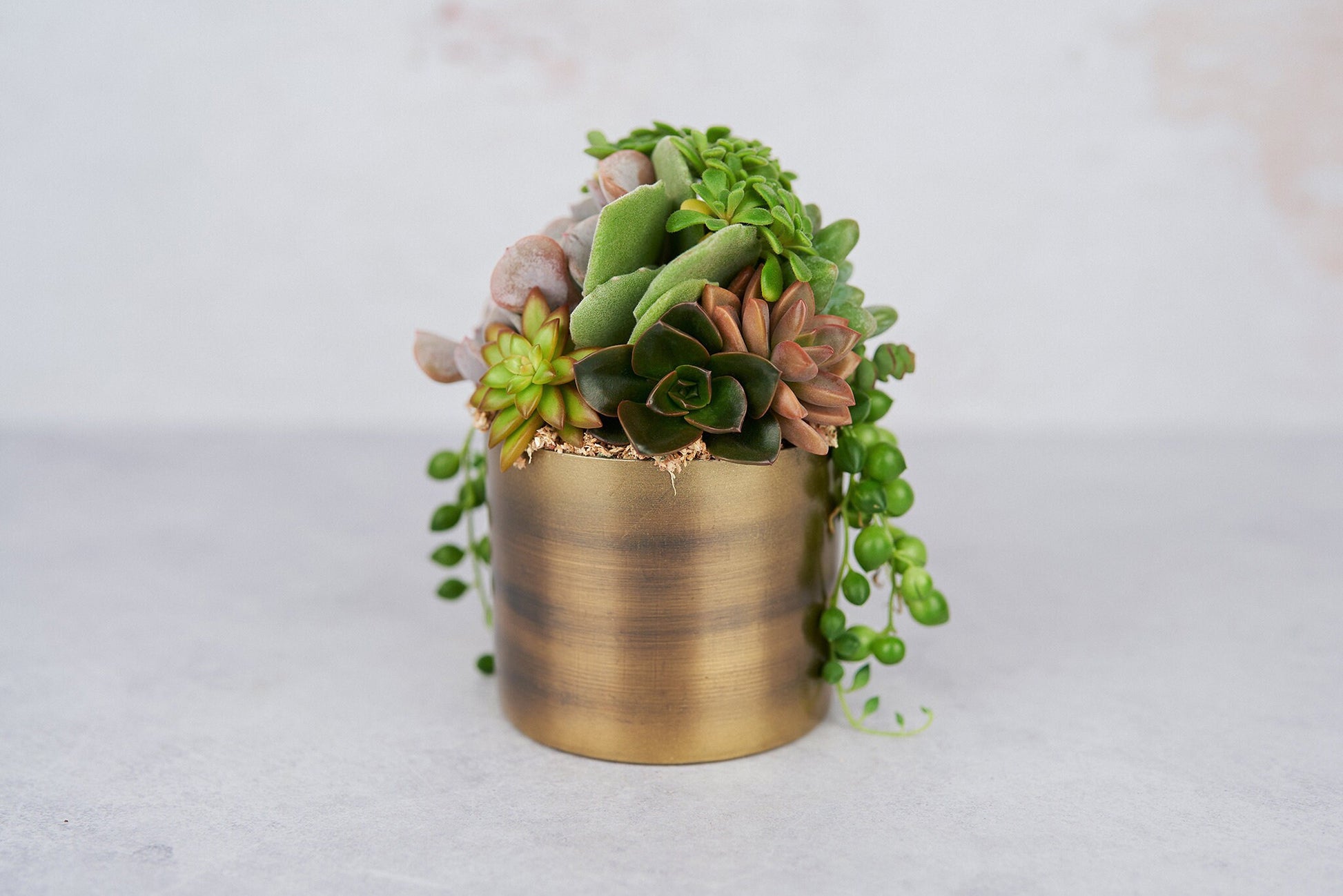 fake succulents in gold pots Small Bronze Metal Succulent Arrangement Planter