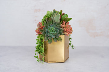 Gold Hexagon Metal Succulent Arrangement Planter: Modern Living Succulent Gift, Centerpiece for Weddings & Events, Housewarming Gift