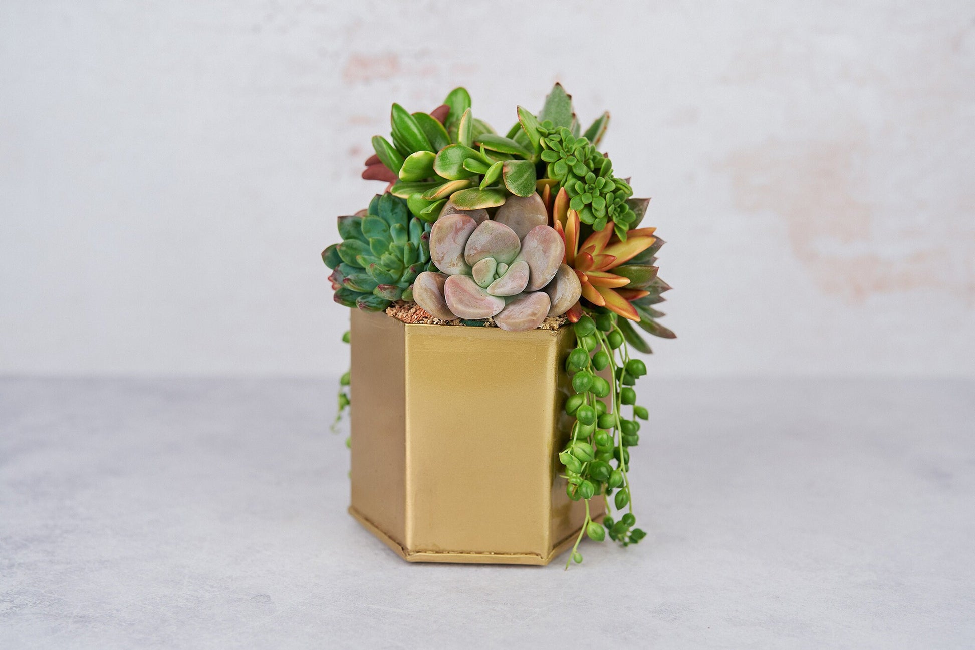 Gold Hexagon Metal Succulent Arrangement Planter: Modern Living Succulent Gift, Centerpiece for Weddings & Events, Housewarming Gift