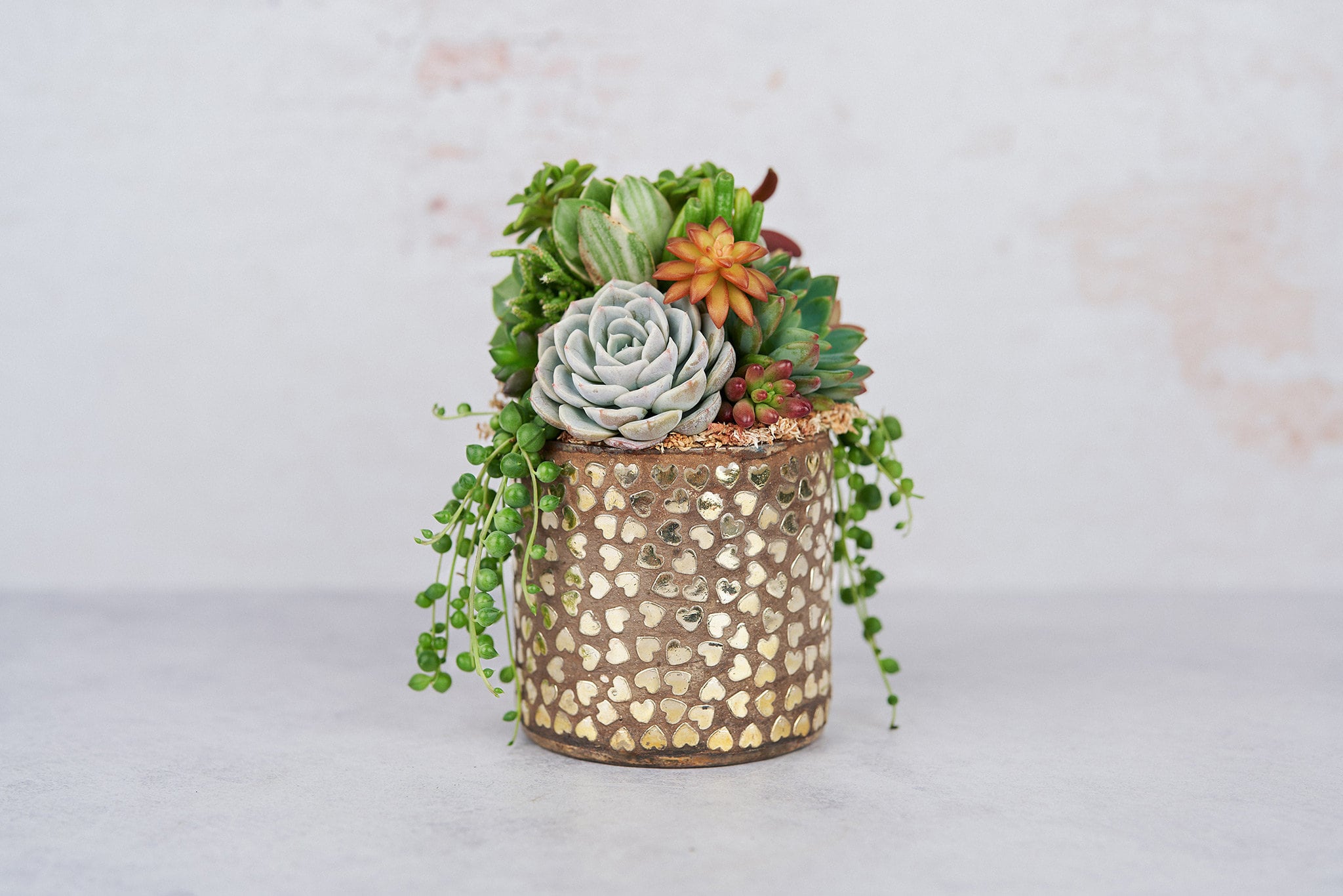 Hammered Hearts Living Succulent Arrangement Gift | Birthday, Celebration, House Warming Living Gift for Plant Lovers | Gift for Mom