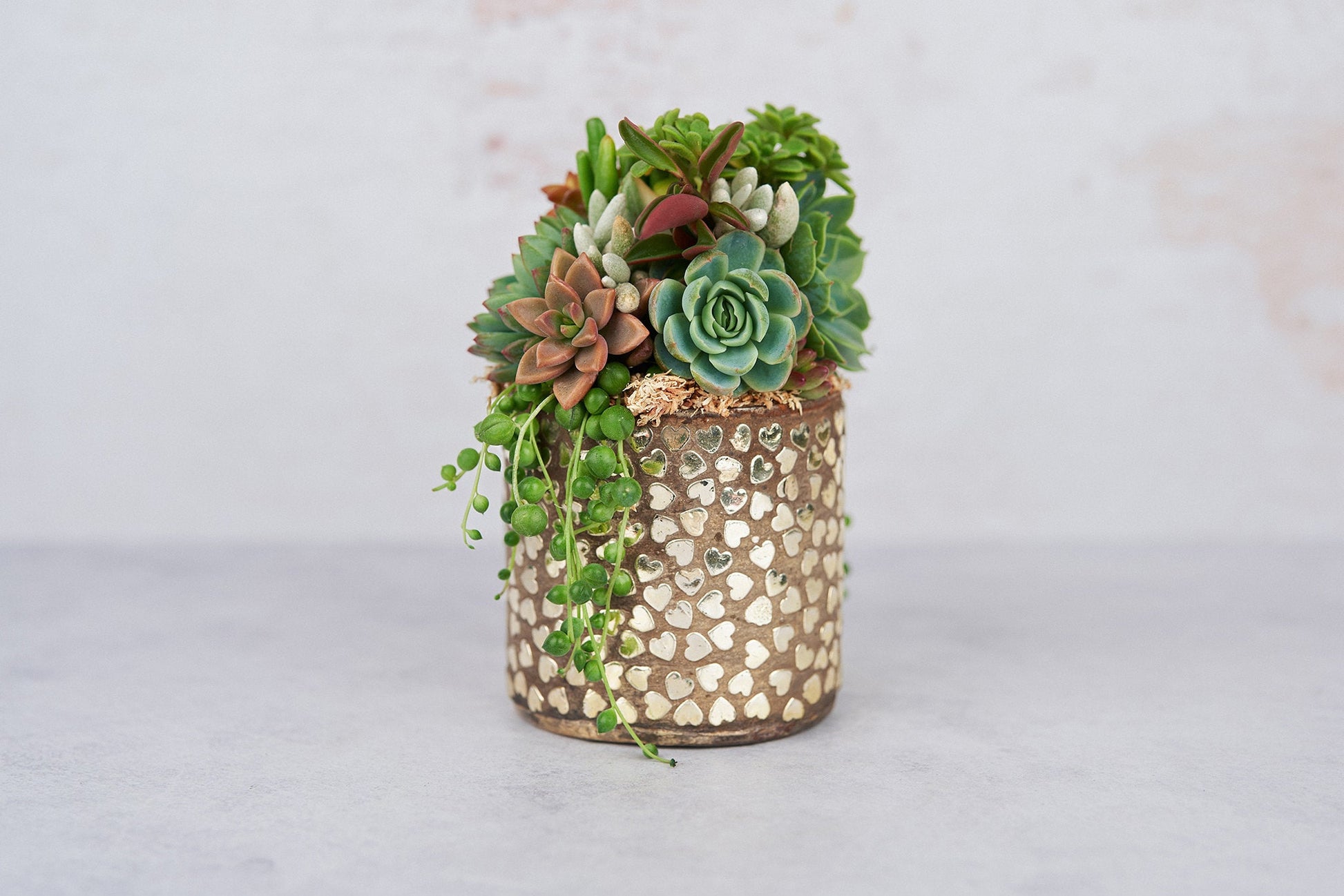 Hammered Hearts Living Succulent Arrangement Gift | Birthday, Celebration, House Warming Living Gift for Plant Lovers | Gift for Mom