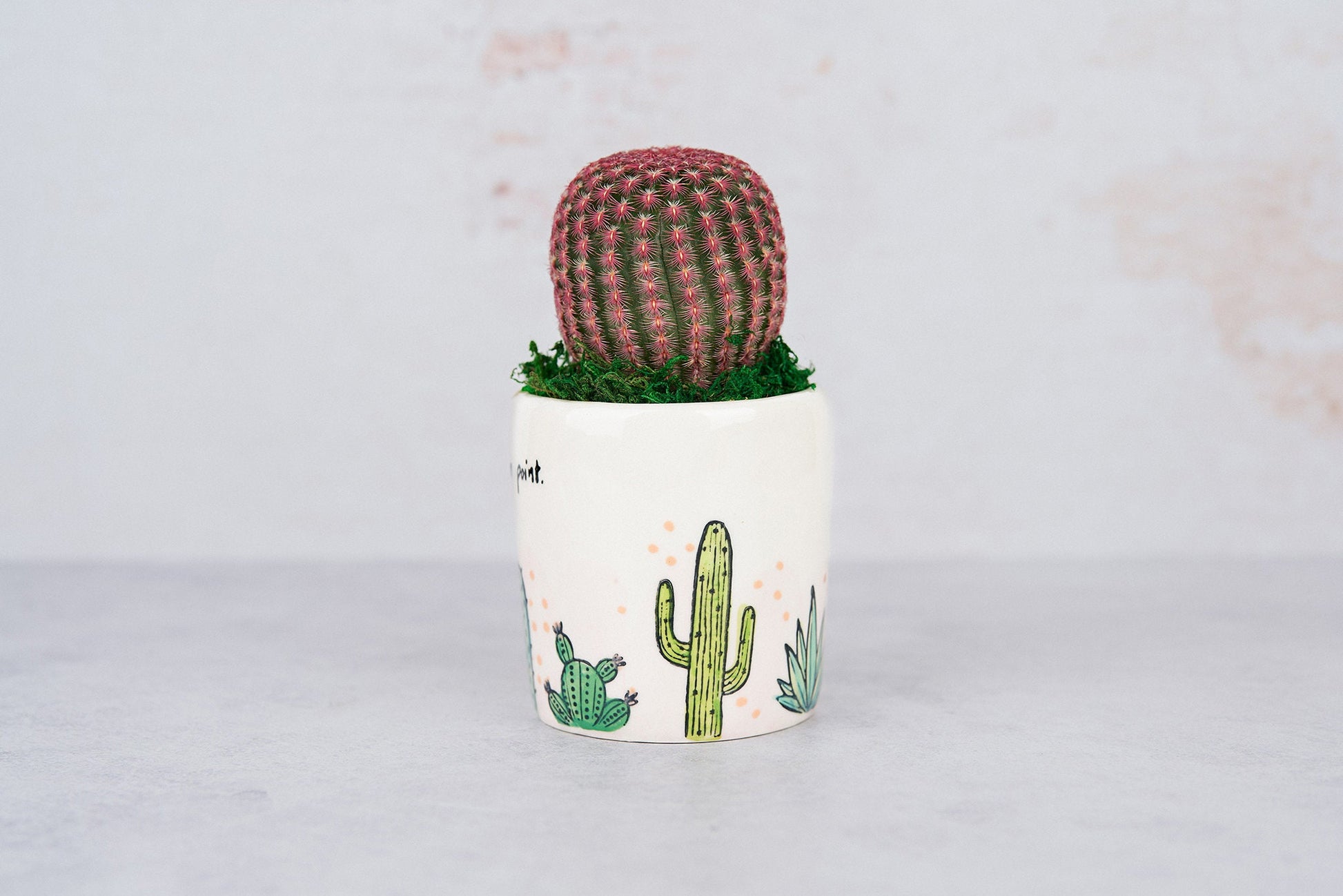 On Point Living Cactus Arrangement Gift | Birthday, Celebration, House Warming Living Gift for Plant Lovers | Gift for Mom