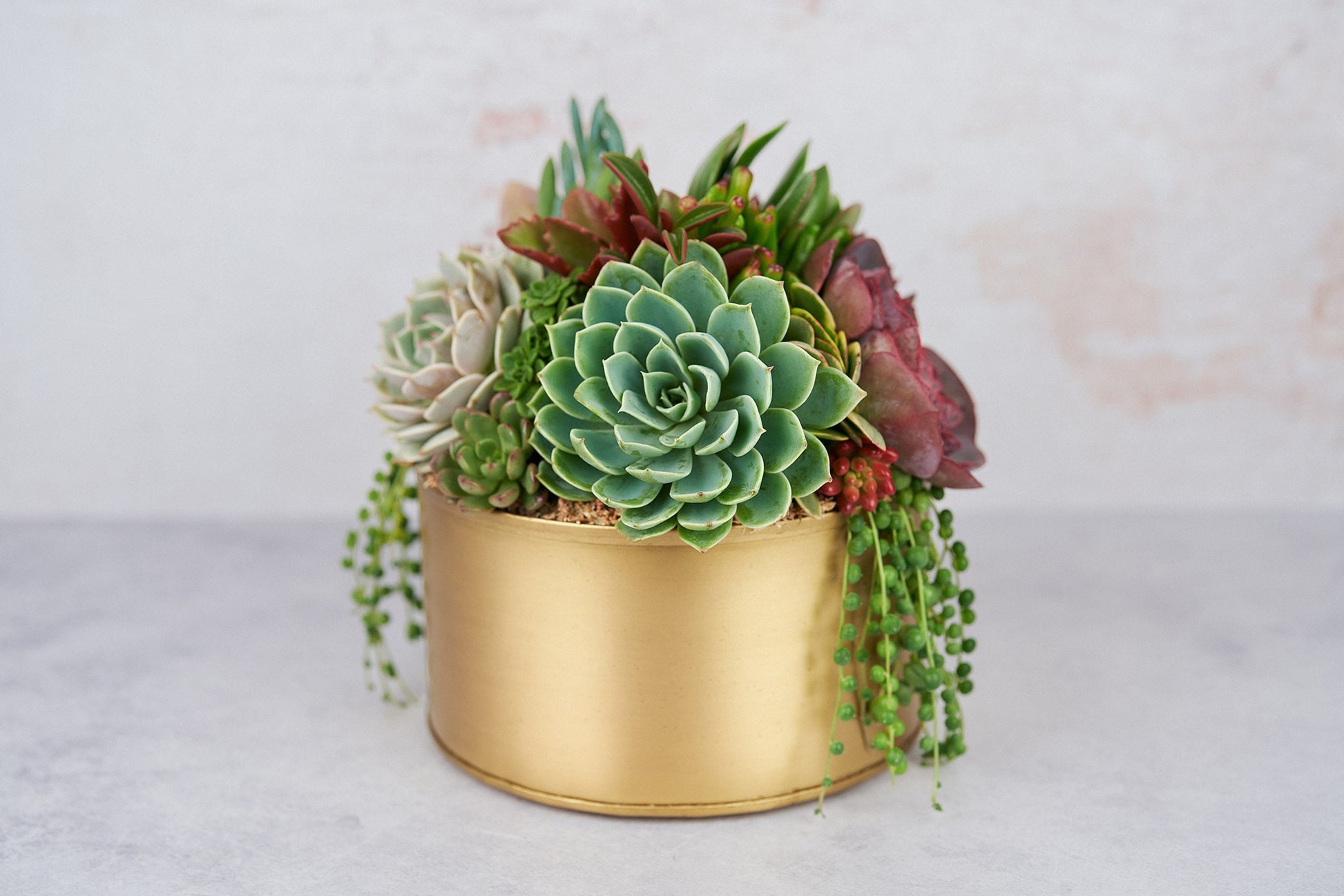 Gold Metal Bowl Succulent Arrangement Planter: Modern Living Succulent Gift, Centerpiece for Weddings & Events, Housewarming Gift
