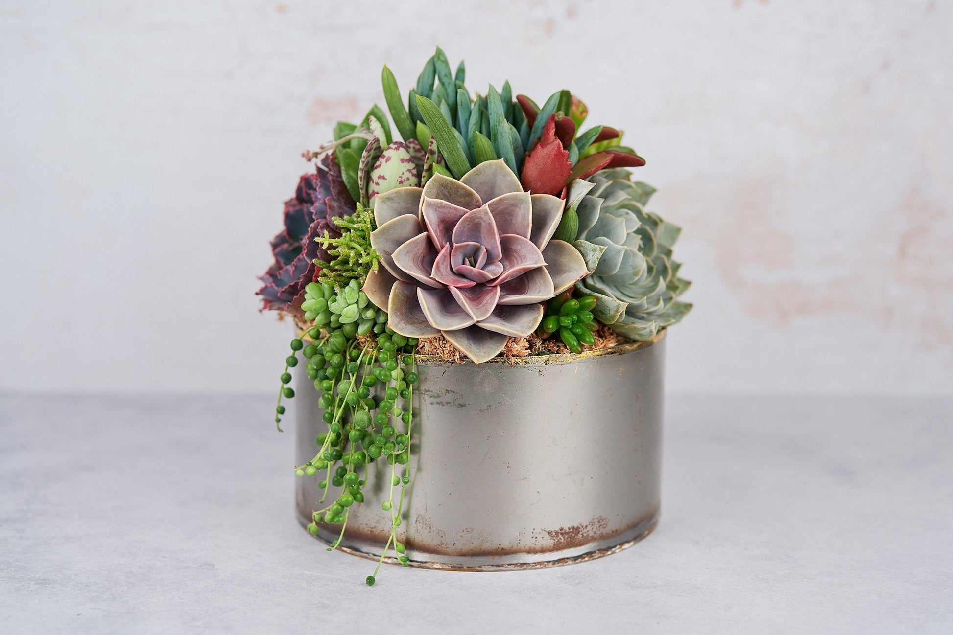 Industrial Metal Bowl Succulent Arrangement Planter: Modern Living Succulent Gift, Centerpiece for Weddings & Events, Housewarming Gift