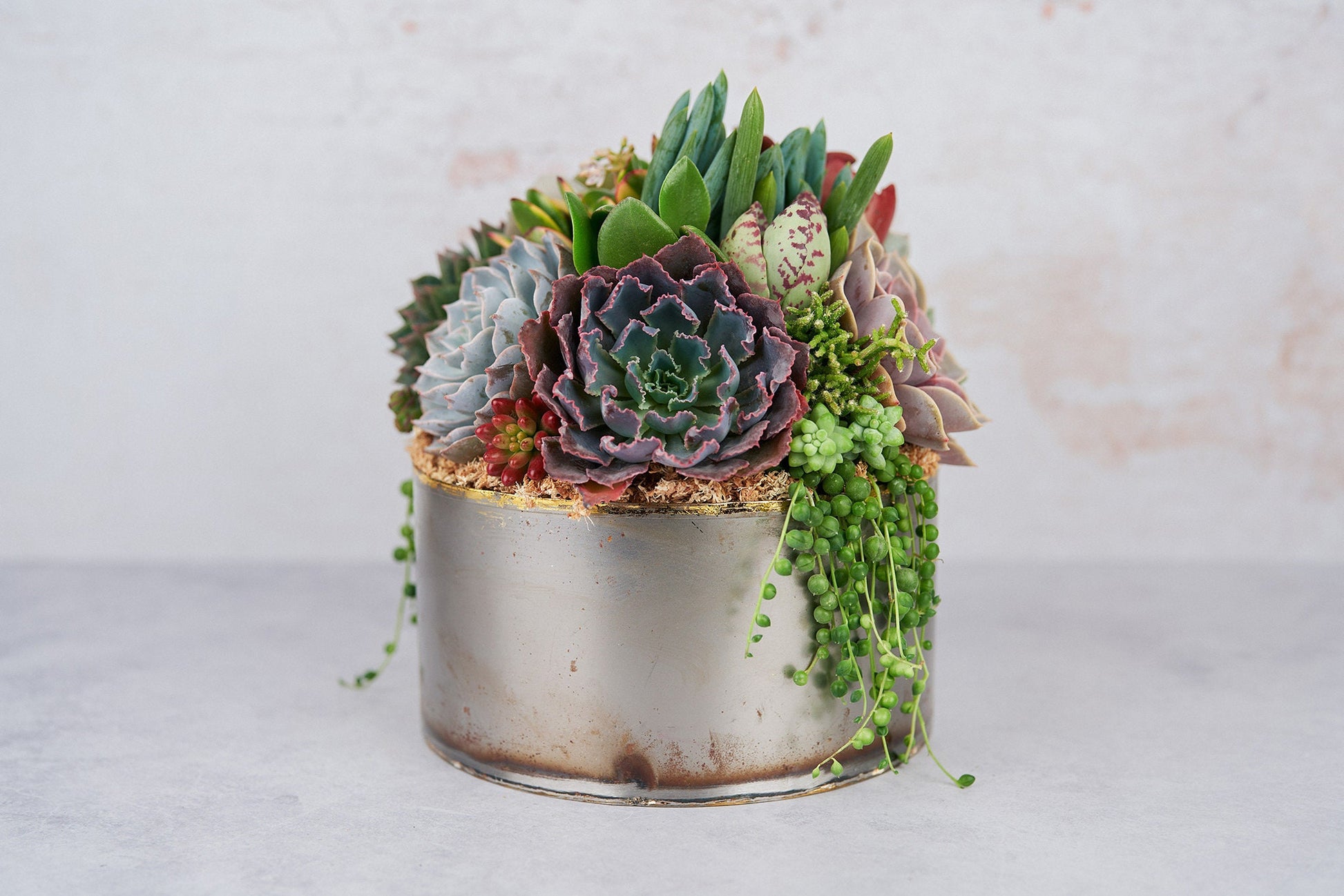 succulent bowl centerpiece Industrial Metal Bowl Succulent Arrangement Planter