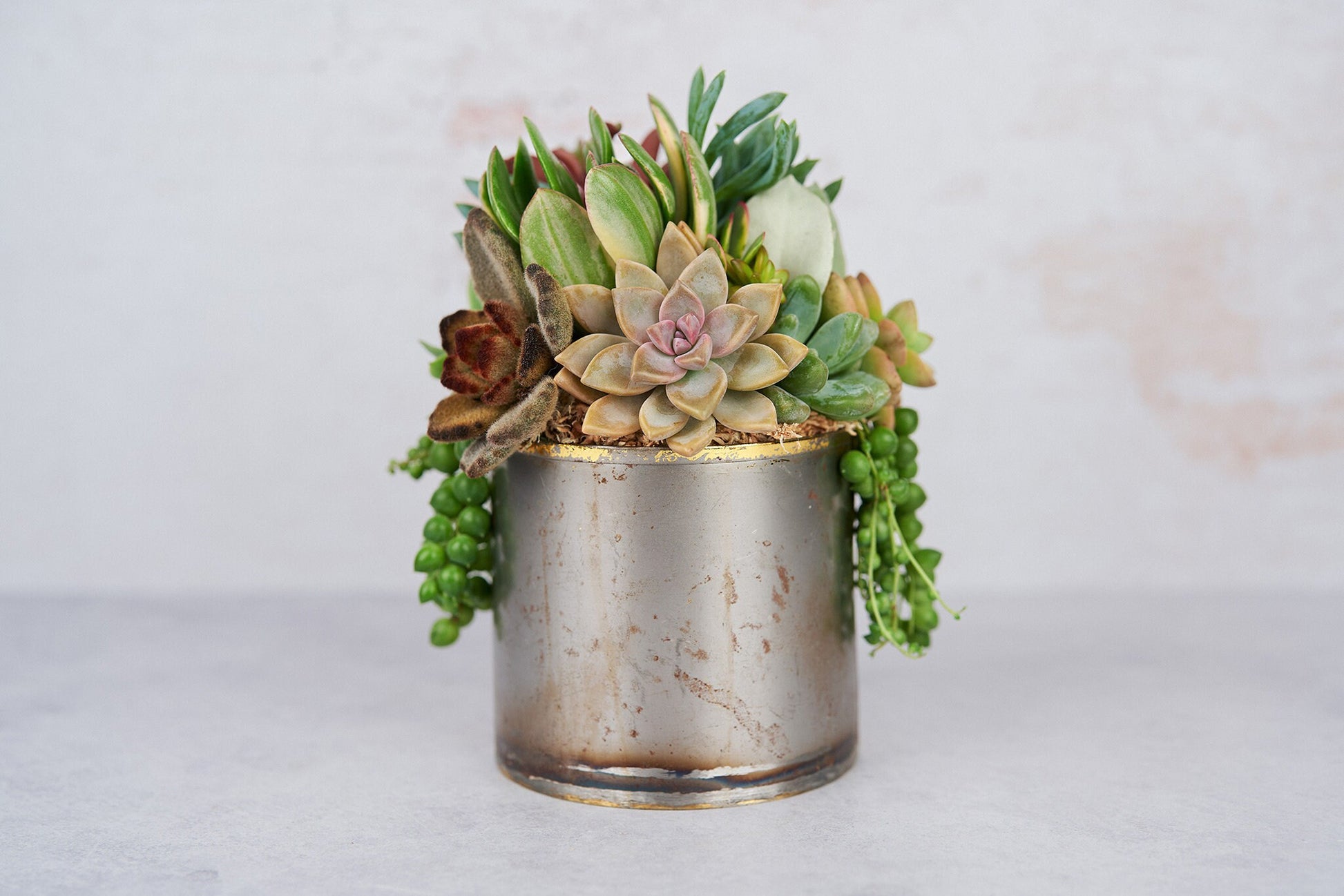 Medium Industrial Metal Succulent Arrangement Planter: Modern Living Succulent Gift, Centerpiece for Weddings & Events, Housewarming Gift