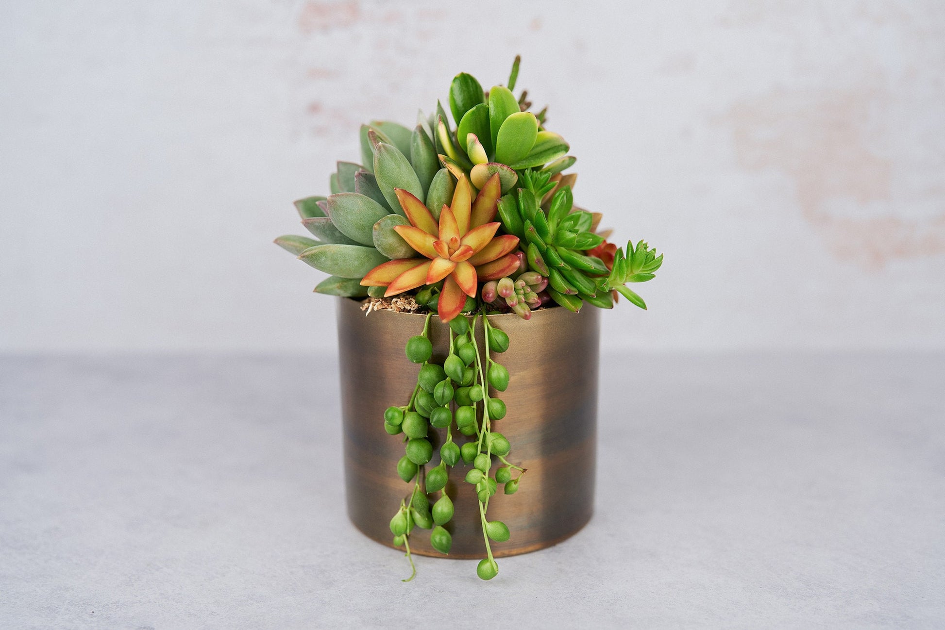 Medium Bronze Metal Succulent Arrangement Planter: Modern Living Succulent Gift, Centerpiece for Weddings & Events, Housewarming Gift