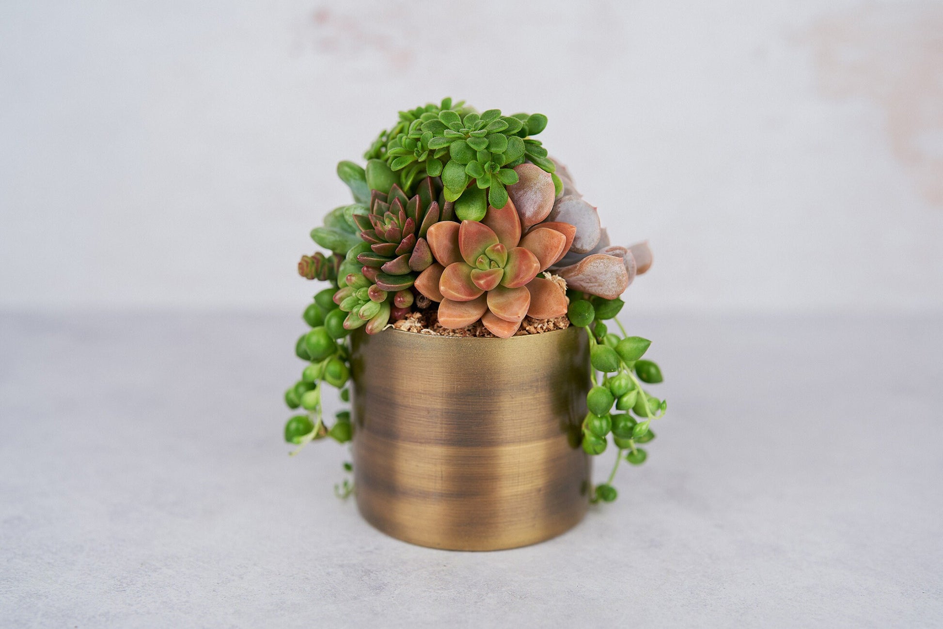 small bronze plant pot Small Bronze Metal Succulent Arrangement Planter
