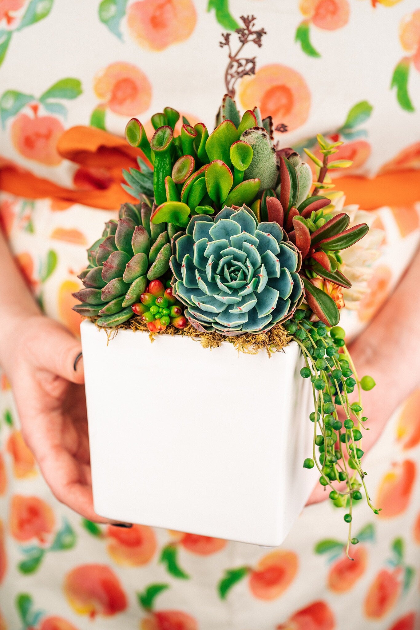 mix succulent arrangement White Cube Ceramic Succulent Arrangement Planter