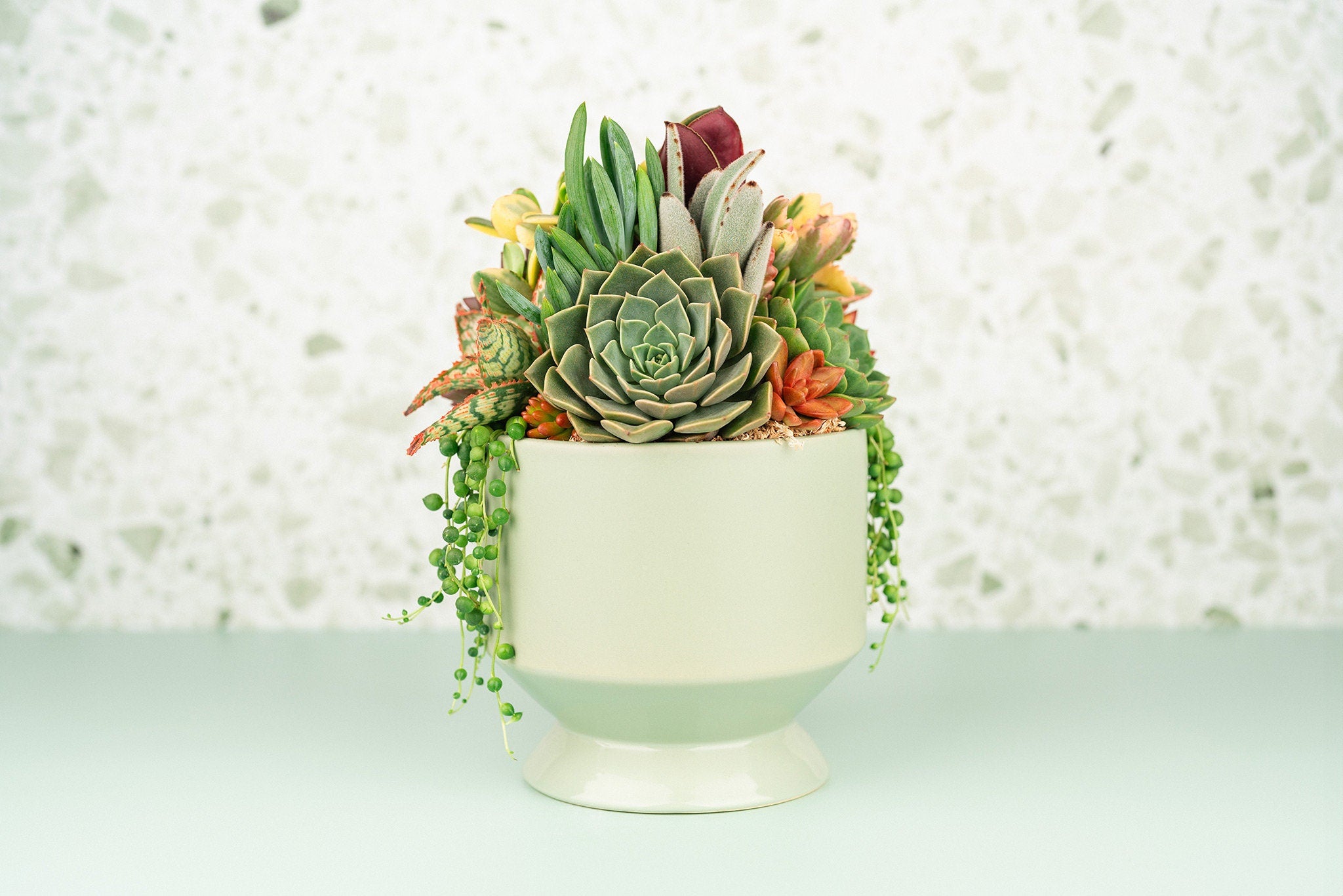 Light Green (sage) Footed Succulent Arrangement Planter: Living Succulent Gift, Centerpiece for Weddings and events, Housewarming Gift