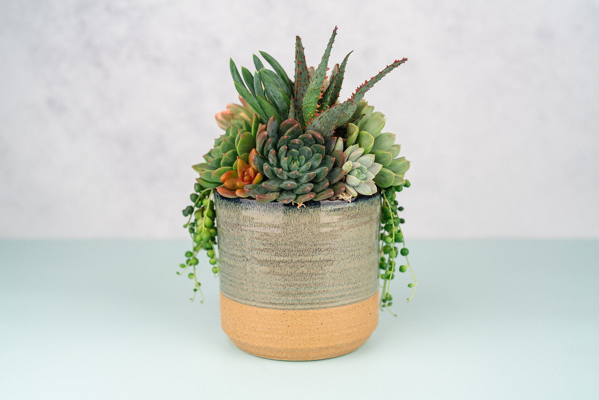 blue succulent planter Two-Toned Blue & Terracotta Ceramic Succulent Arrangement Planter
