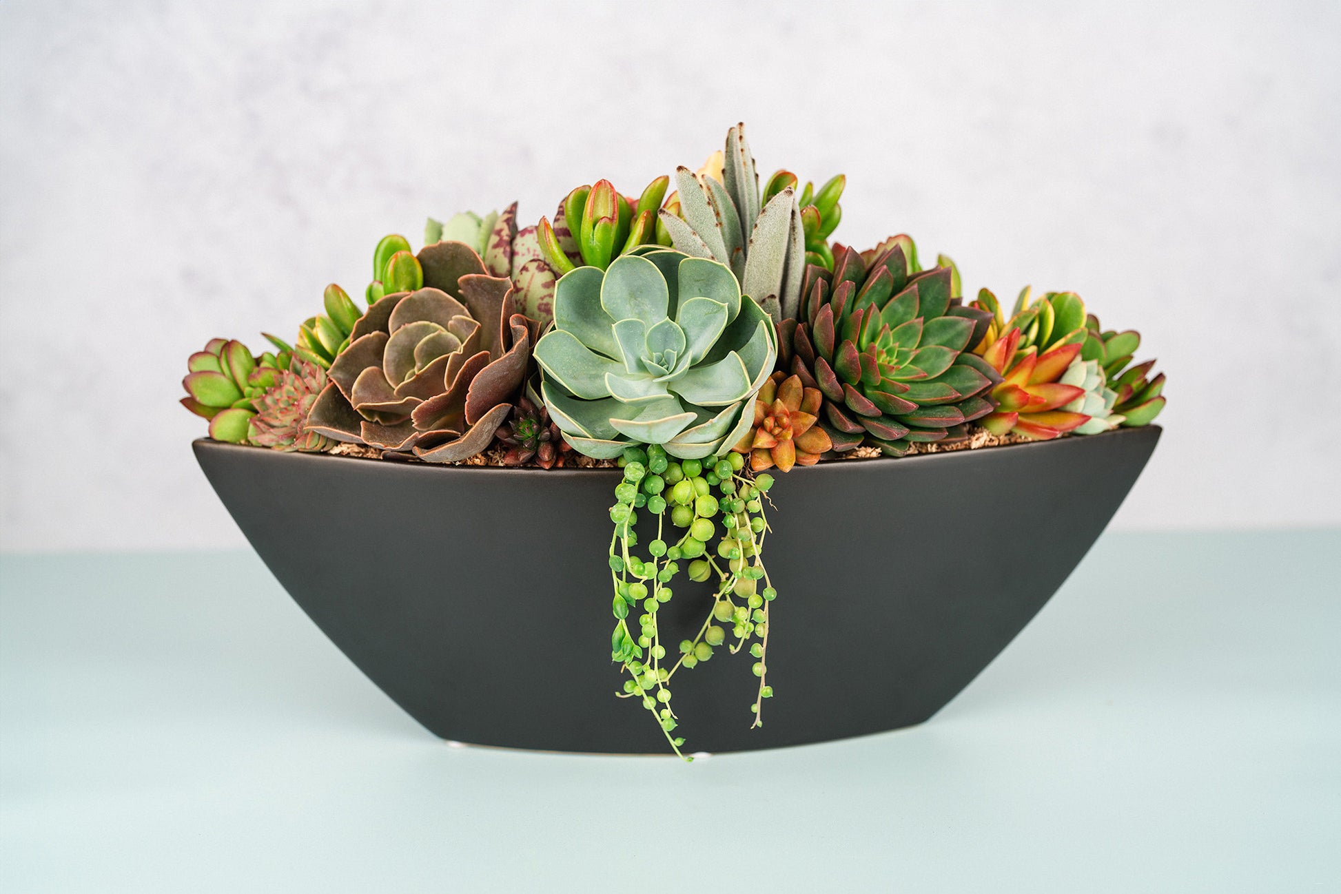 Black Large Boat Succulent Planter Arrangement : Long Ceramic Living Succulent Centerpiece for Weddings & Events or Succulent Gift