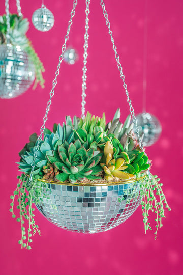 Disco Bowl Succulent Arrangement Planter- Hang or Tabletop Decor. Festive, Retro Living Succulent Gift or Centerpiece for Weddings & Events