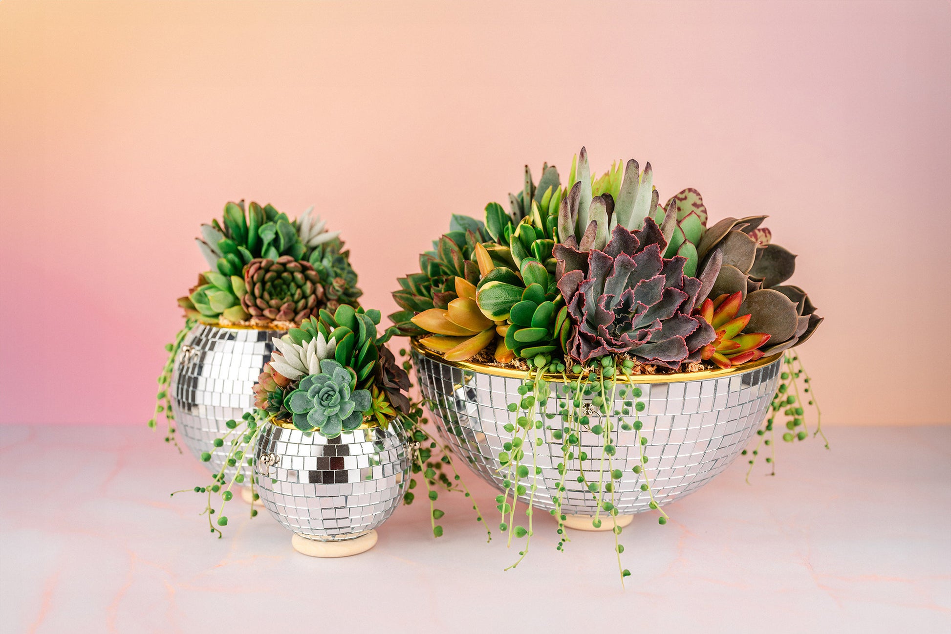 tabletop succulent arrangements Disco Ball (6" or 8") Succulent Arrangement Planter- Hang or Tabletop Decor