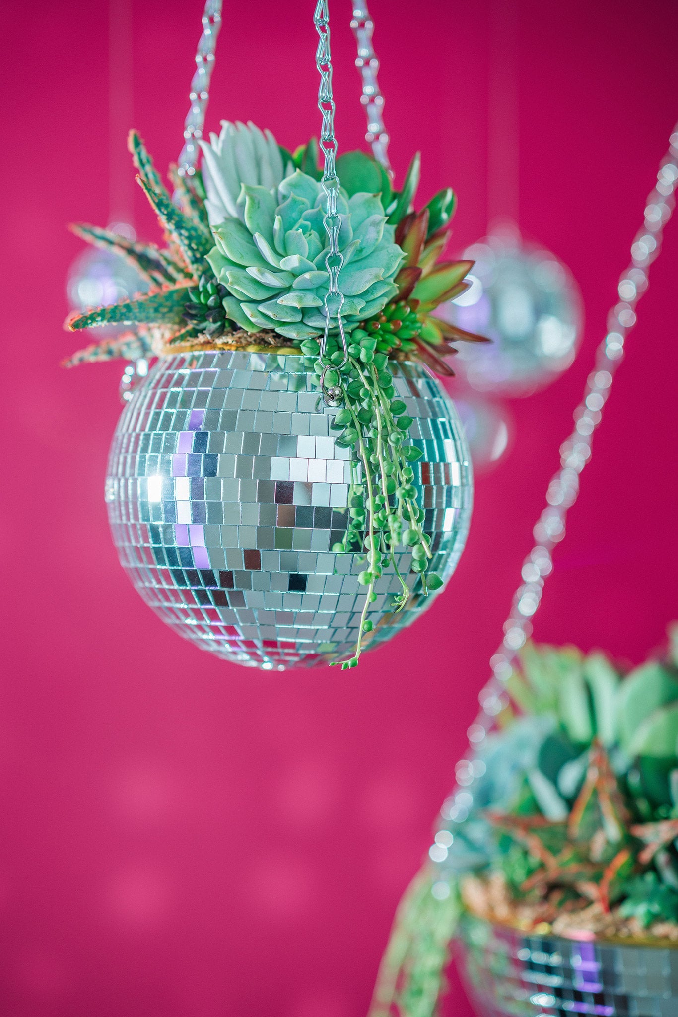 Disco Ball (6" or 8") Succulent Arrangement Planter- Hang or Tabletop Decor. Festive, Retro Living Succulent Gift or Centerpiece for Events