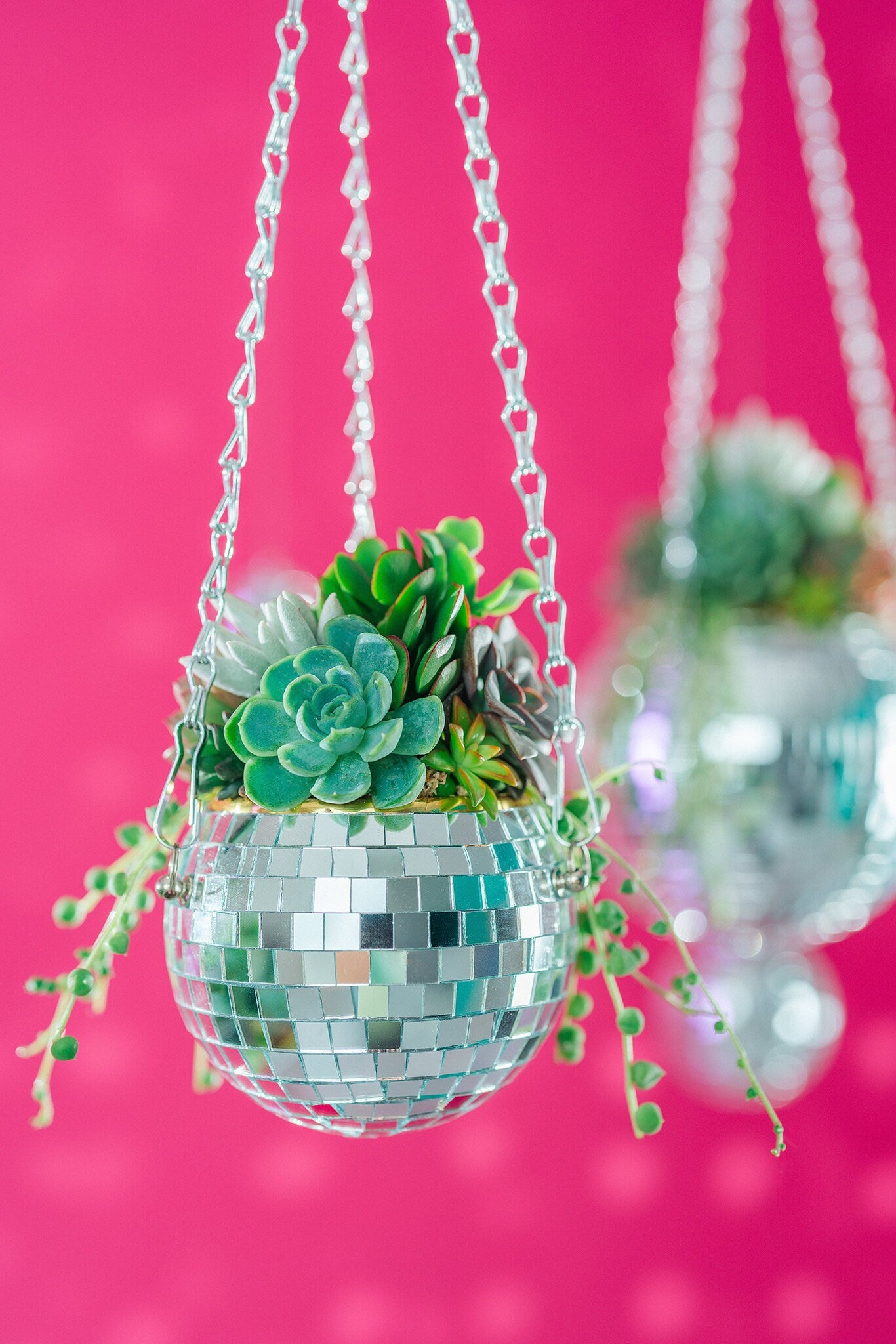 Mini Disco Ball Succulent Arrangement Planter- Hang or Tabletop Decor. Festive, Retro Living Succulent Gift or Centerpiece for Events