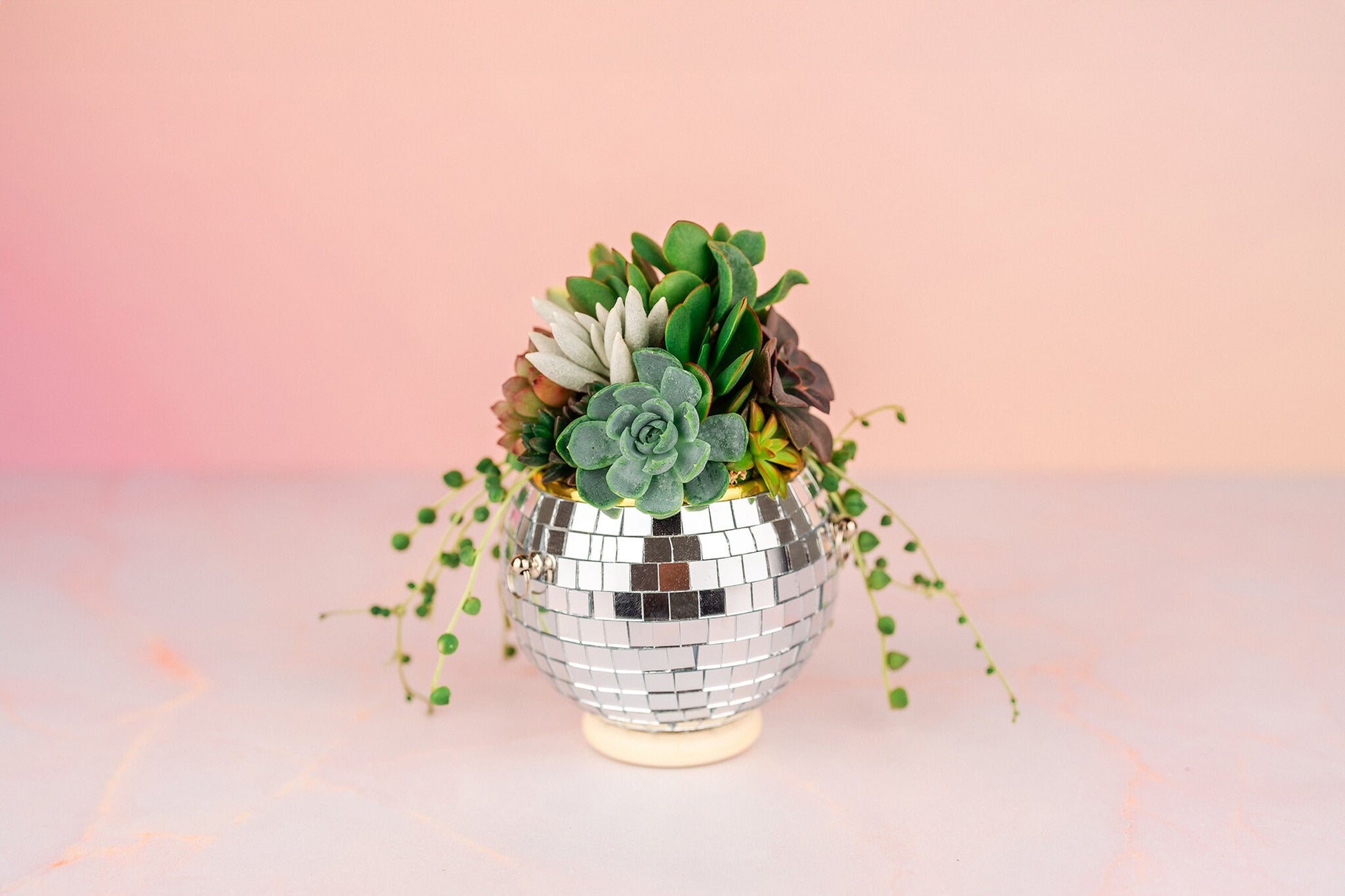 little ball succulent Mini Disco Ball Succulent Arrangement Planter- Hang or Tabletop Decor