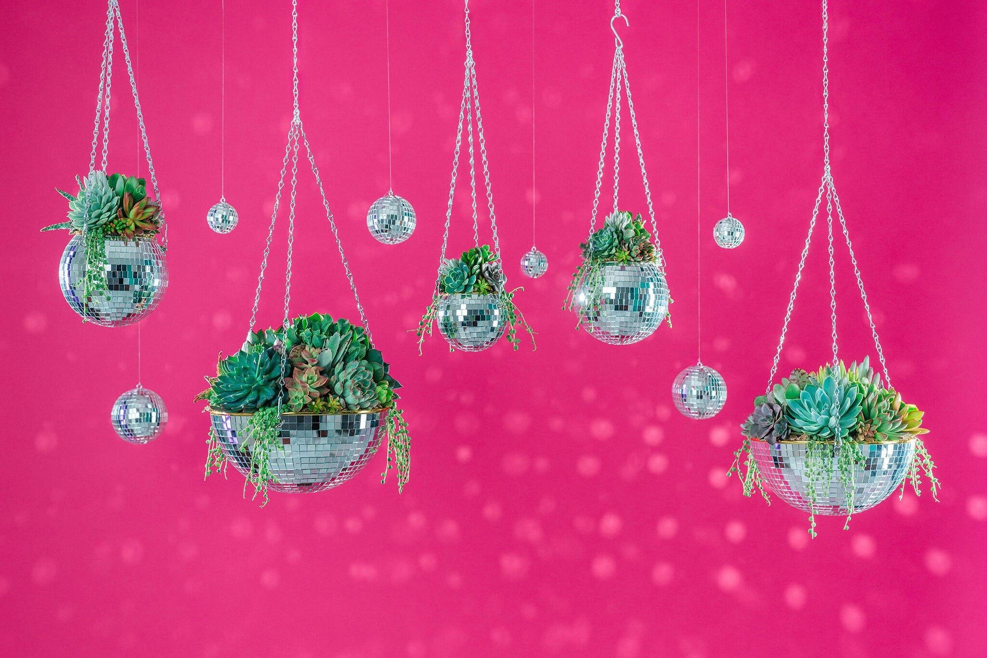 Mini Disco Ball Succulent Arrangement Planter- Hang or Tabletop Decor. Festive, Retro Living Succulent Gift or Centerpiece for Events