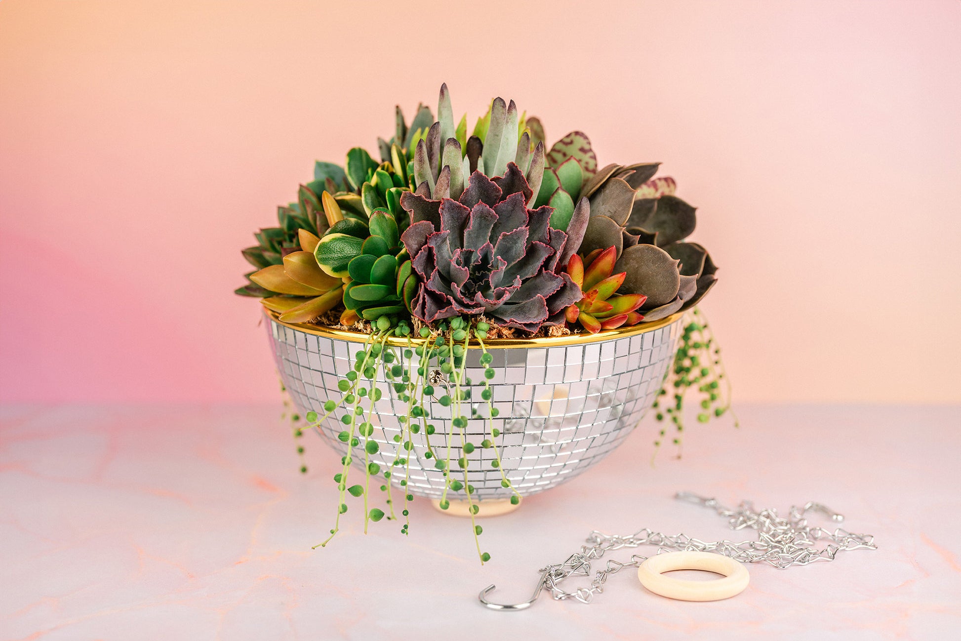 tabletop succulent planter Disco Bowl Succulent Arrangement Planter- Hang or Tabletop Decor