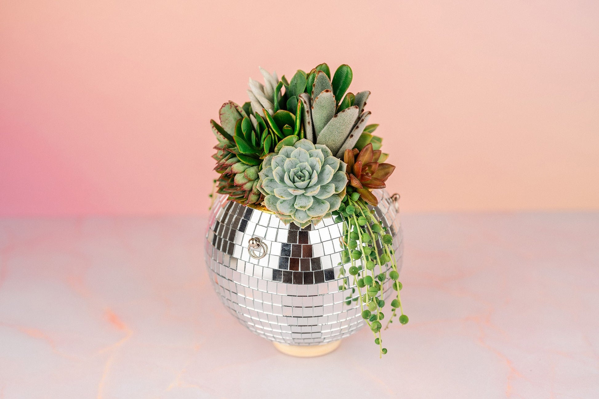 sphere succulent plants Disco Ball (6" or 8") Succulent Arrangement Planter- Hang or Tabletop Decor