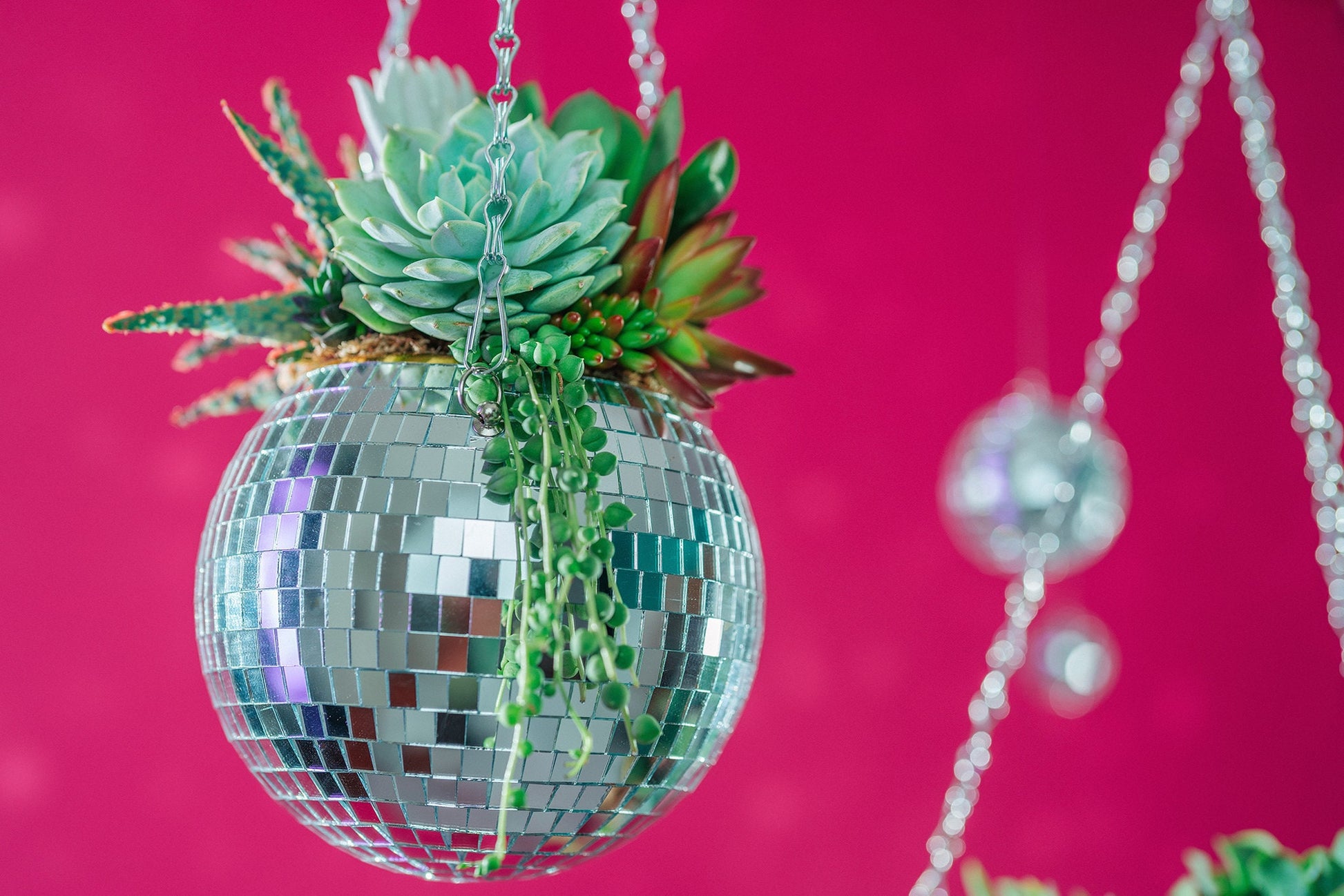 disco hanging planter Disco Ball (6" or 8") Succulent Arrangement Planter- Hang or Tabletop