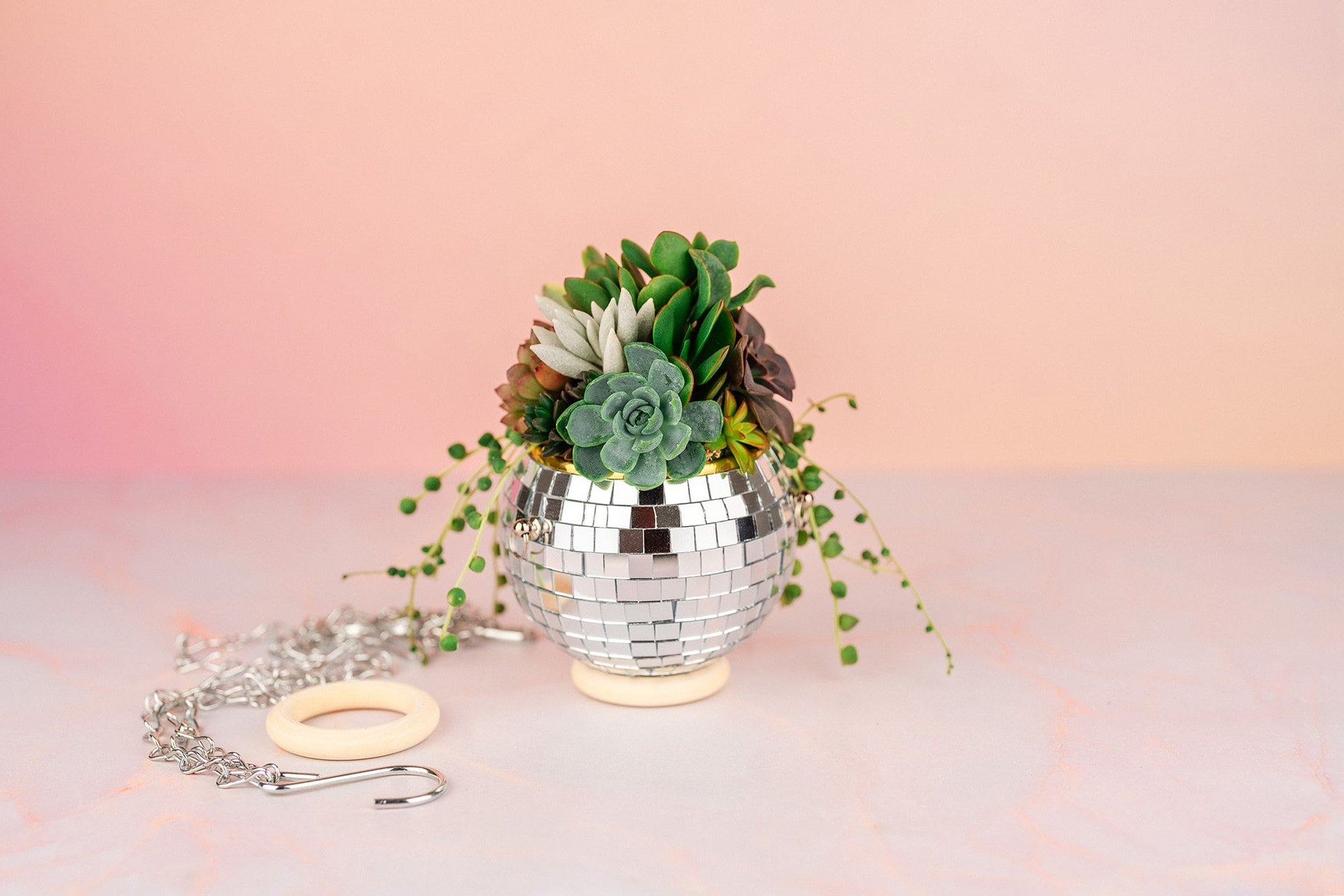 mini succulent decor Mini Disco Ball Succulent Arrangement Planter- Hang or Tabletop Decor
