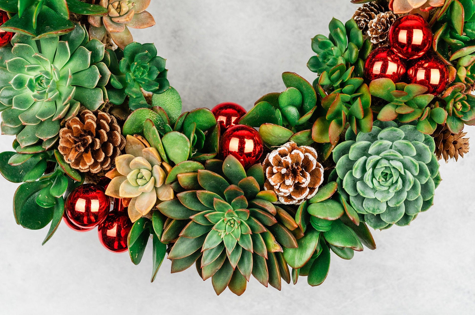 Christmas Succulent Wreath with Living Green and Red Plants, Ornaments, and Pine Cones for Front Door Entry, Holiday Decorating