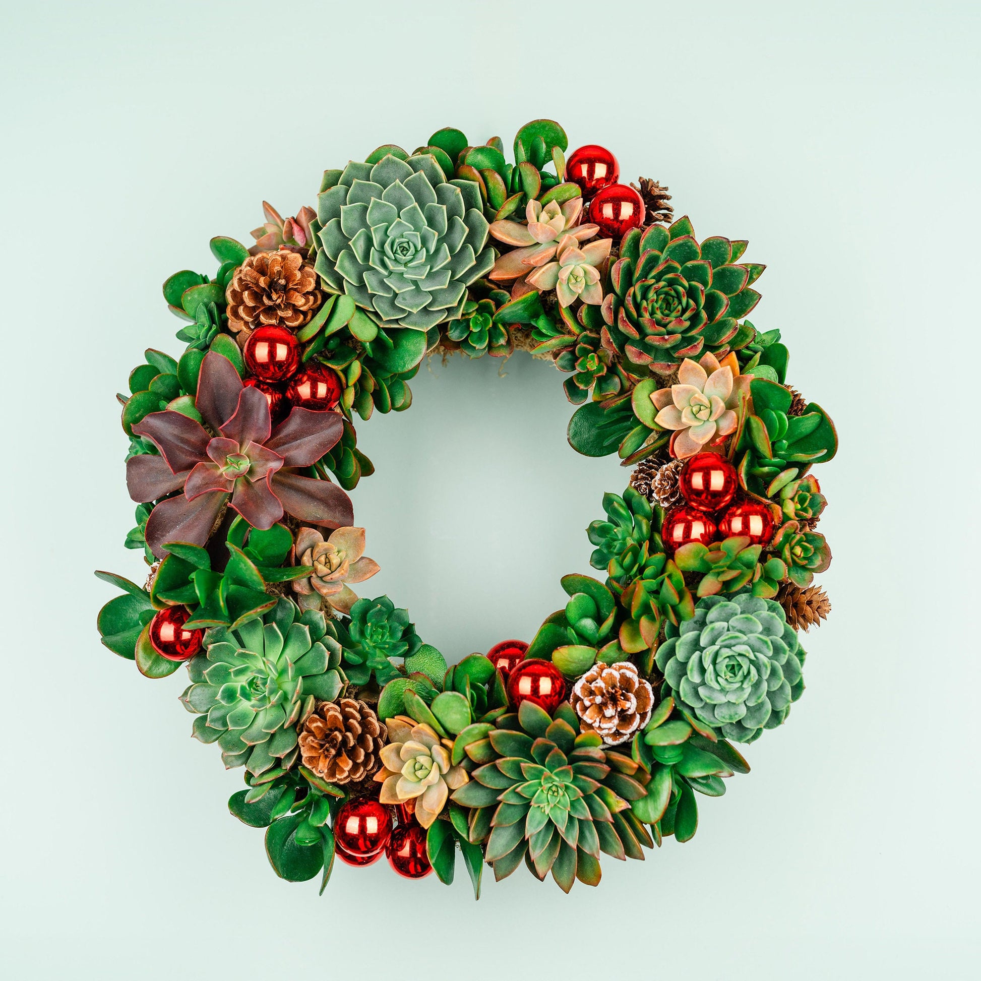 succulent christmas ornaments Christmas Succulent Wreath with Living Green and Red Plants, Ornaments