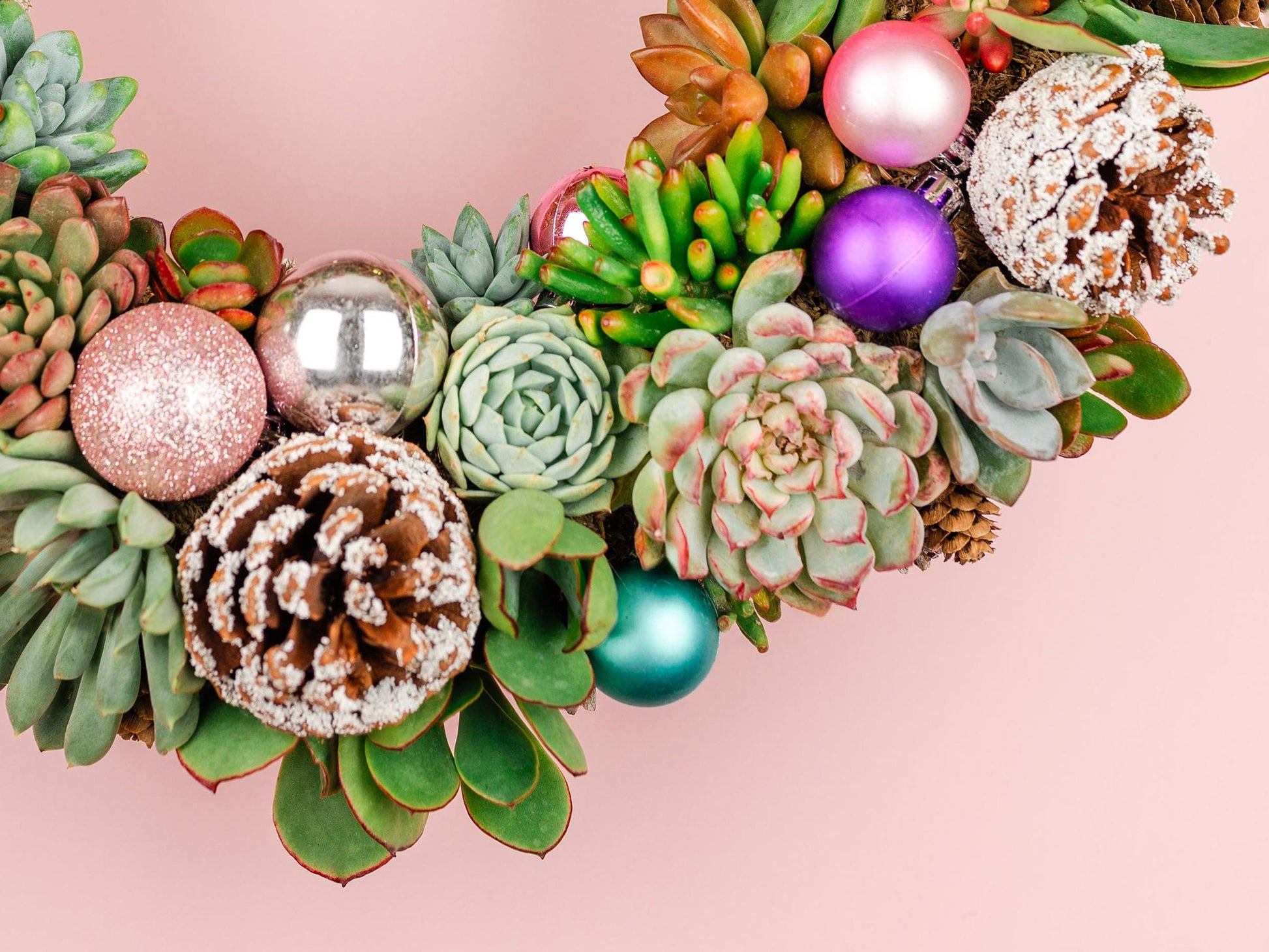 Pastel Christmas Succulent Wreath with Living Pink and Purple Plants, Ornaments, and Pine Cones for Front Door Entry, Holiday Decorating