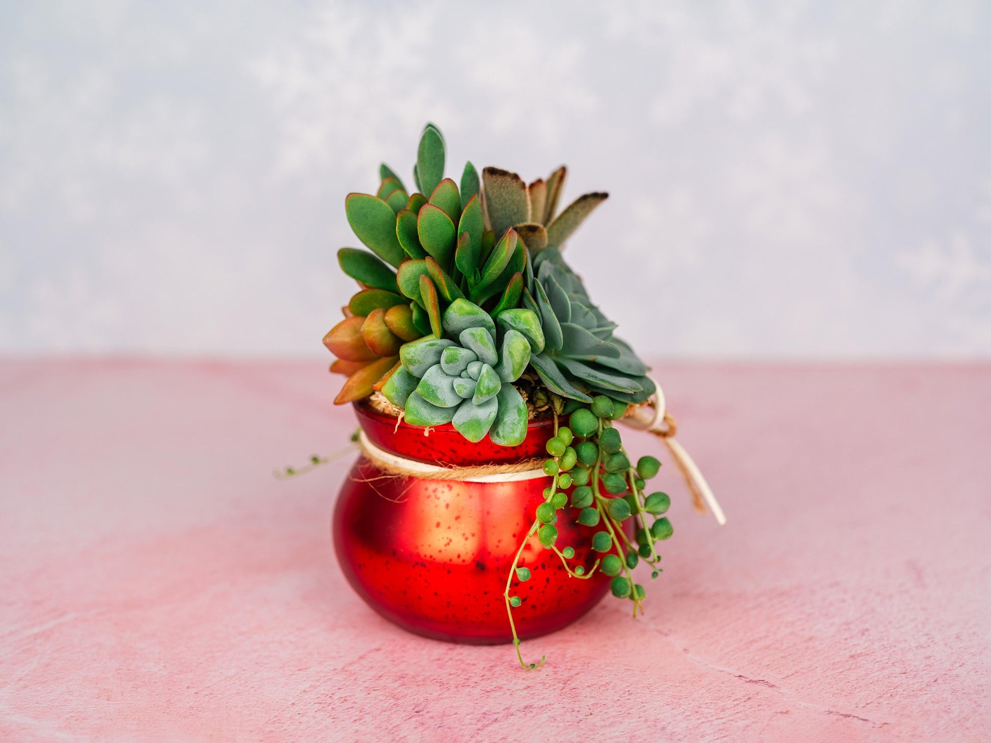 Red Mercury Glass Christmas Succulent Gift Arrangement with Rustic Wood Star- Small Gift or Holiday Decor Centerpiece