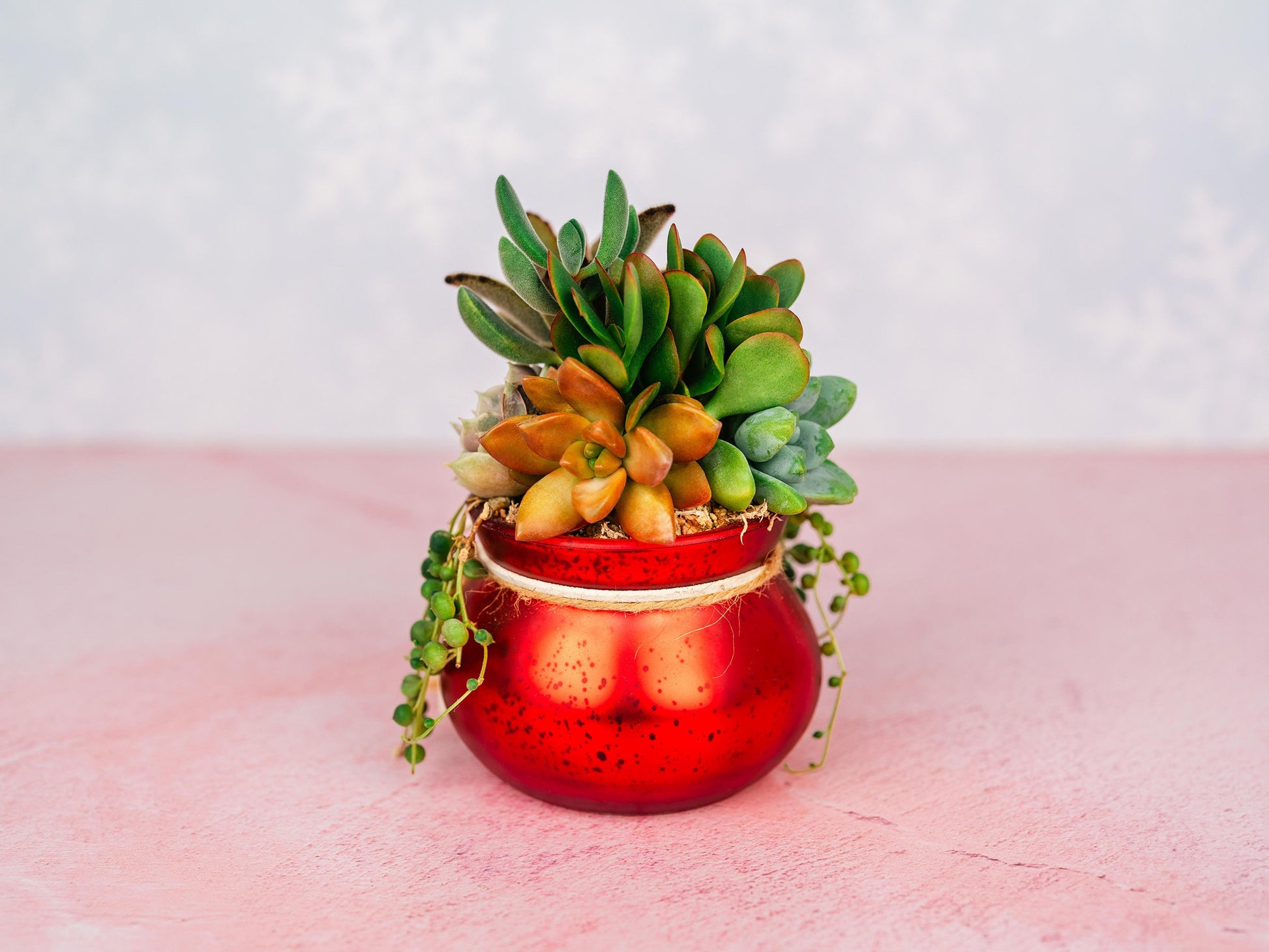 Red Mercury Glass Christmas Succulent Gift Arrangement with Rustic Wood Star- Small Gift or Holiday Decor Centerpiece