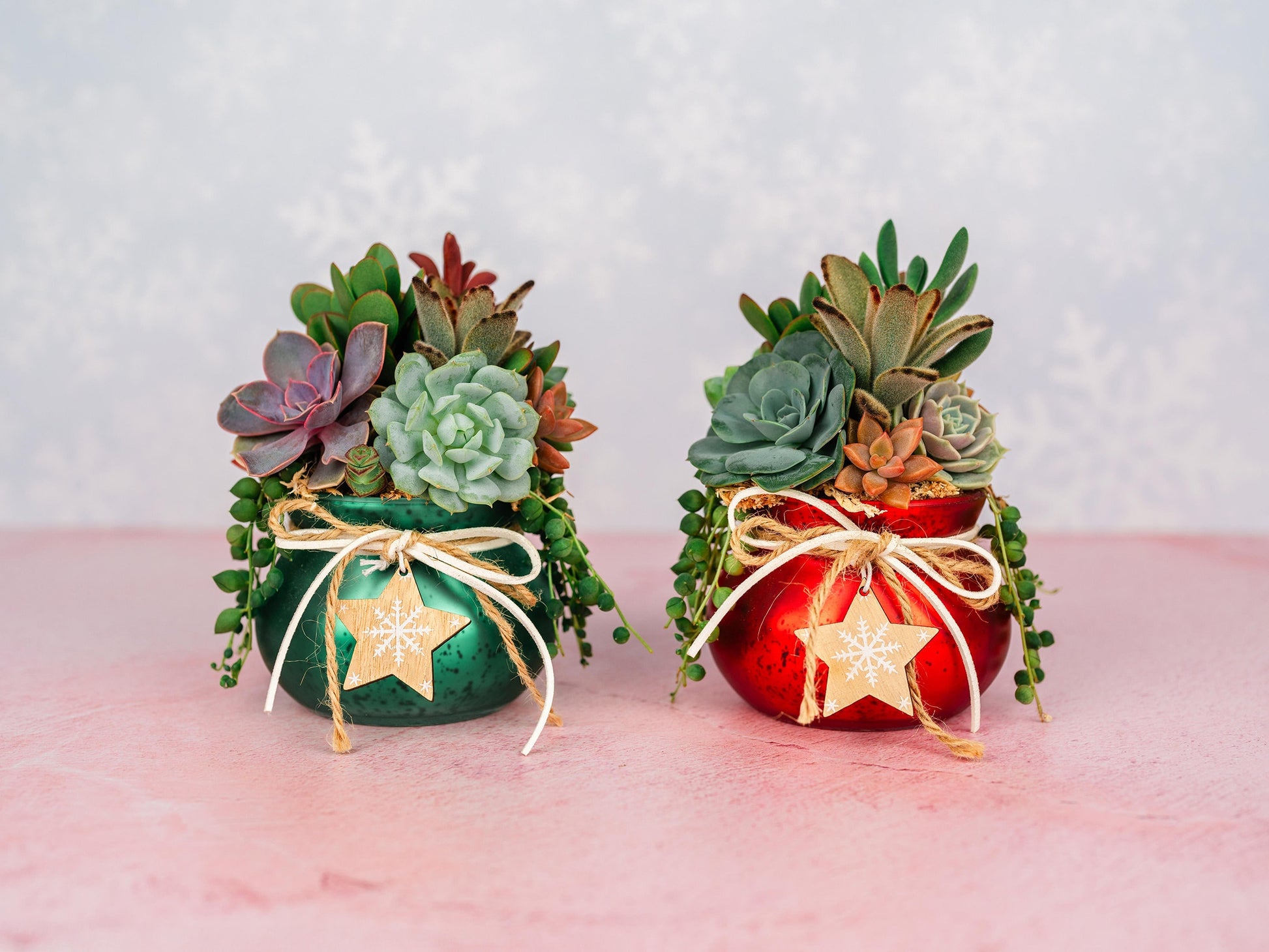 Red Mercury Glass Christmas Succulent Gift Arrangement with Rustic Wood Star- Small Gift or Holiday Decor Centerpiece