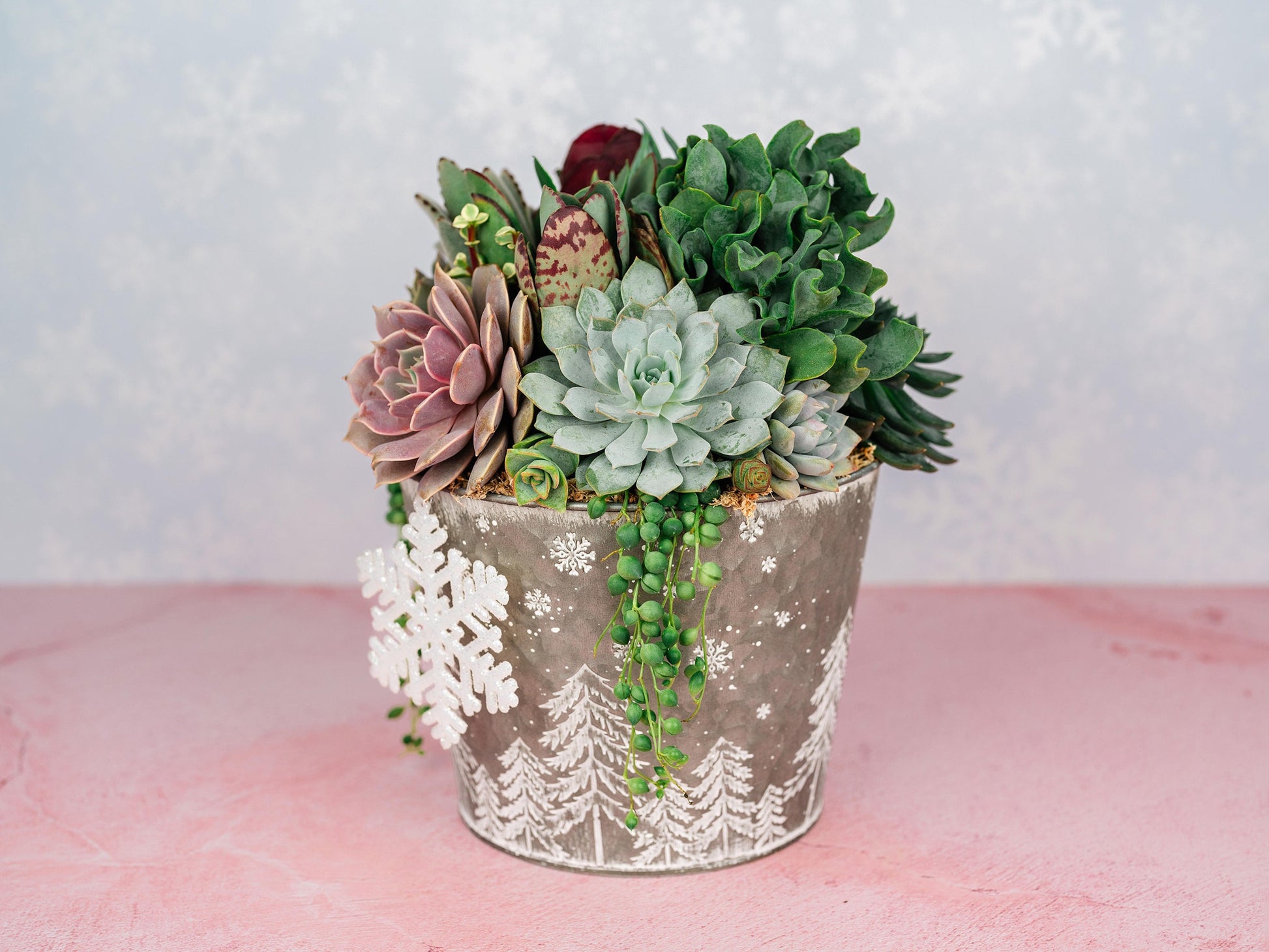 White Christmas Winter Holiday Succulent Planter Arrangement: Living Succulent Gift for the Holidays or Centerpiece Decor