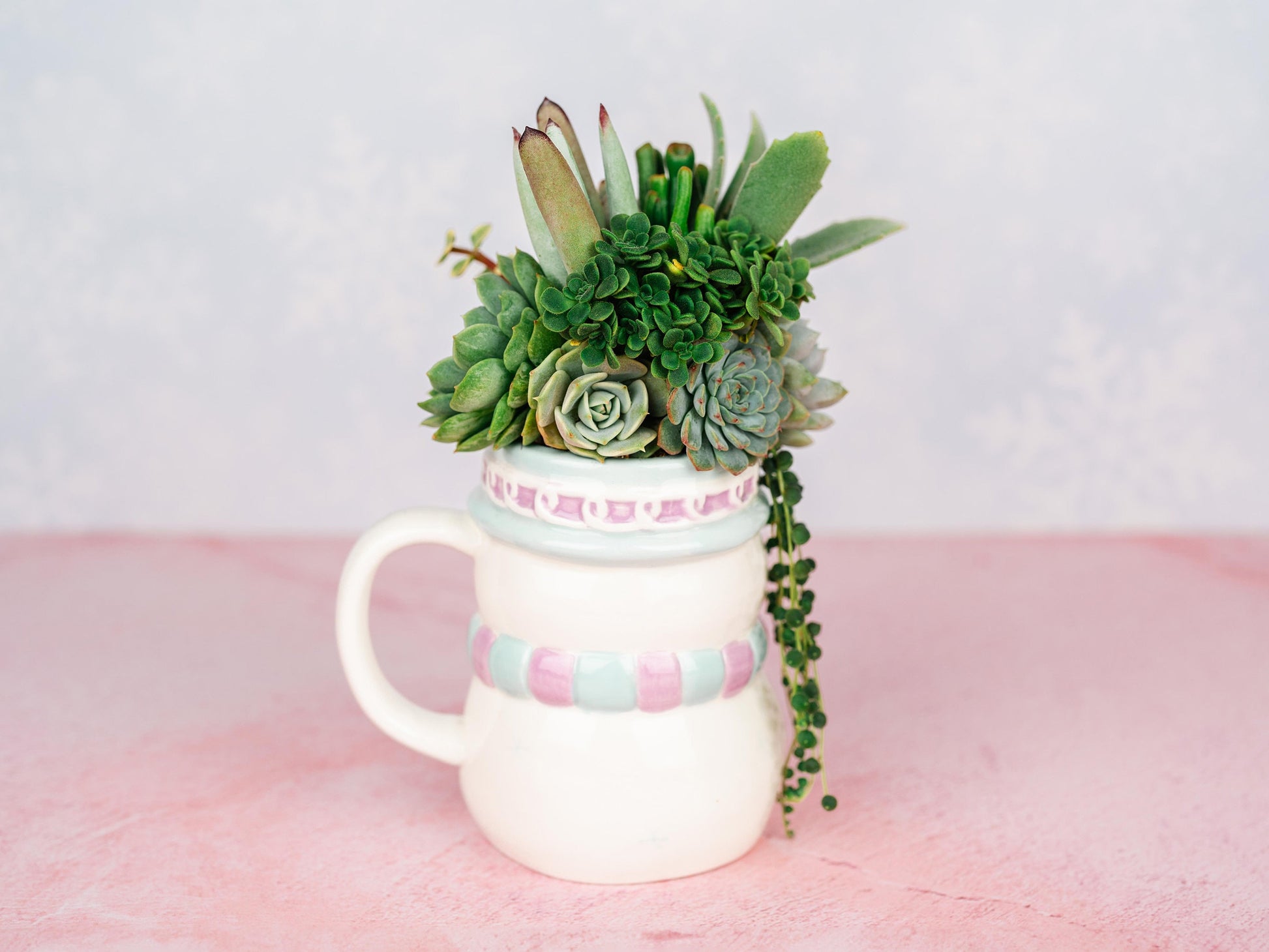 Snowman Mug Succulent Holiday Arrangement Bursting with Living Succulents for Christmas Gifts and Winter Home Decor